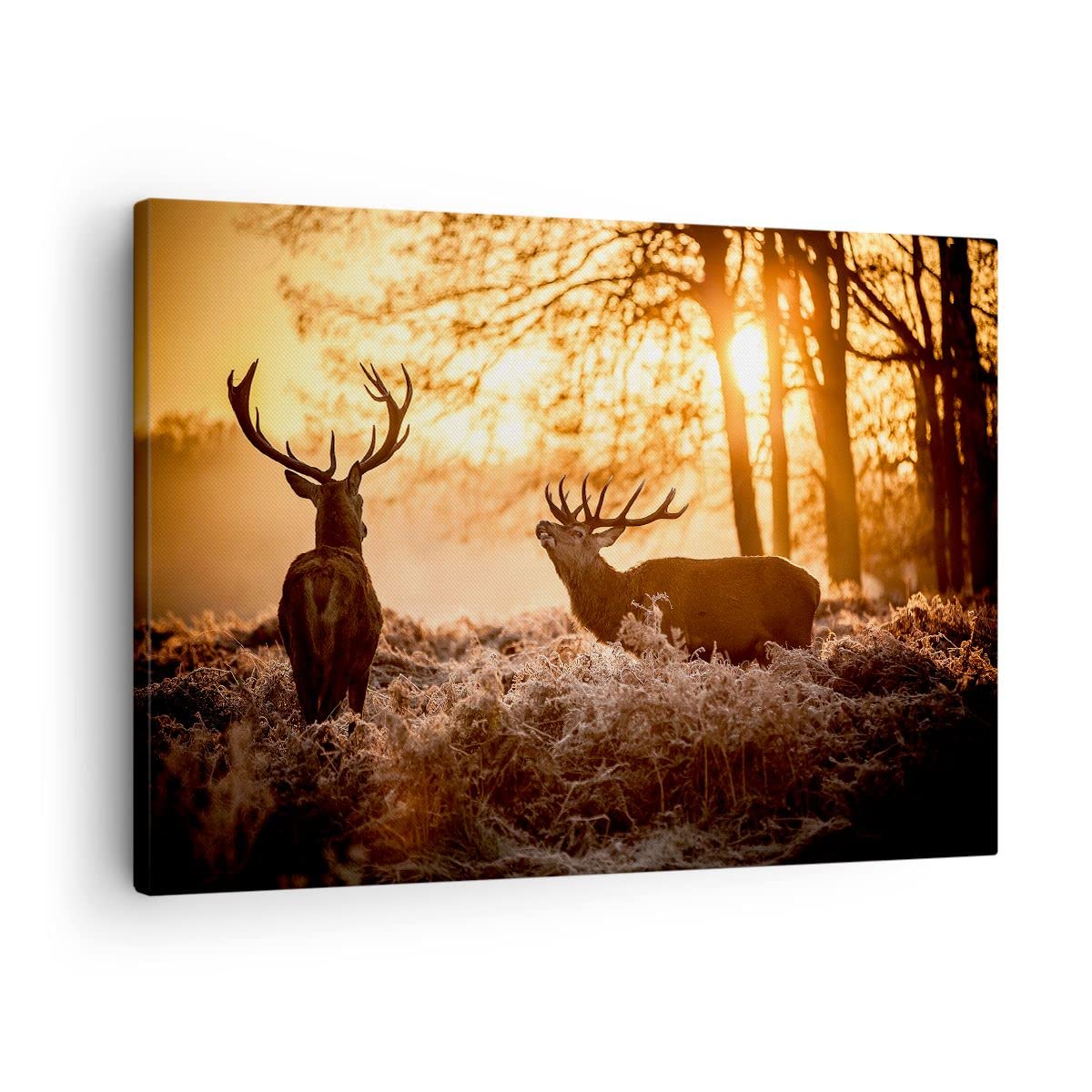 ARTTOR Tableau sur Toile Décoratif 70x50 cm Nature Animaux - 3043