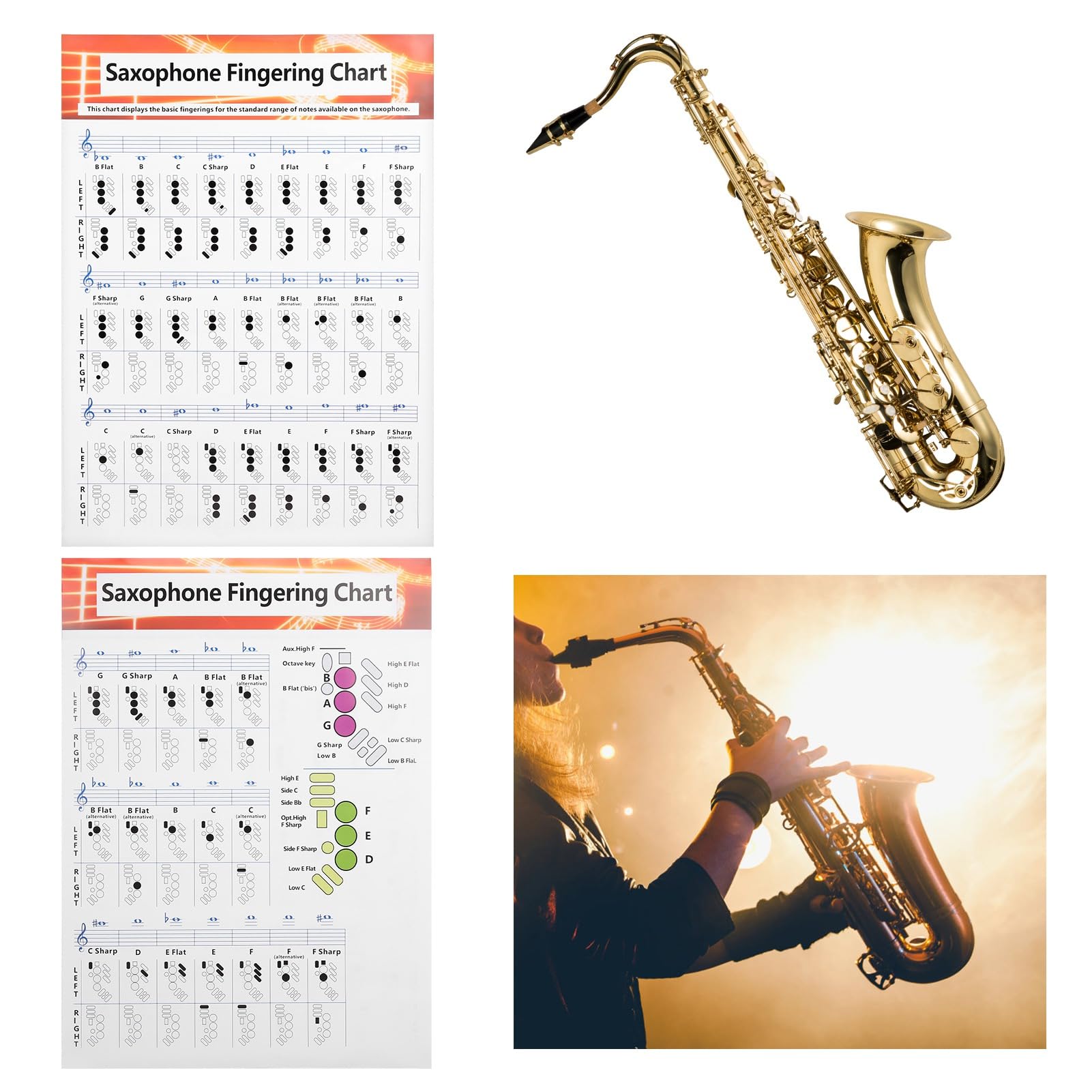 Tableau de Doigté de Saxophone, Guide de Base avec Diagrammes D'accords Universels, Papier Couché Portable, Stockage sur Tube de Papier Long