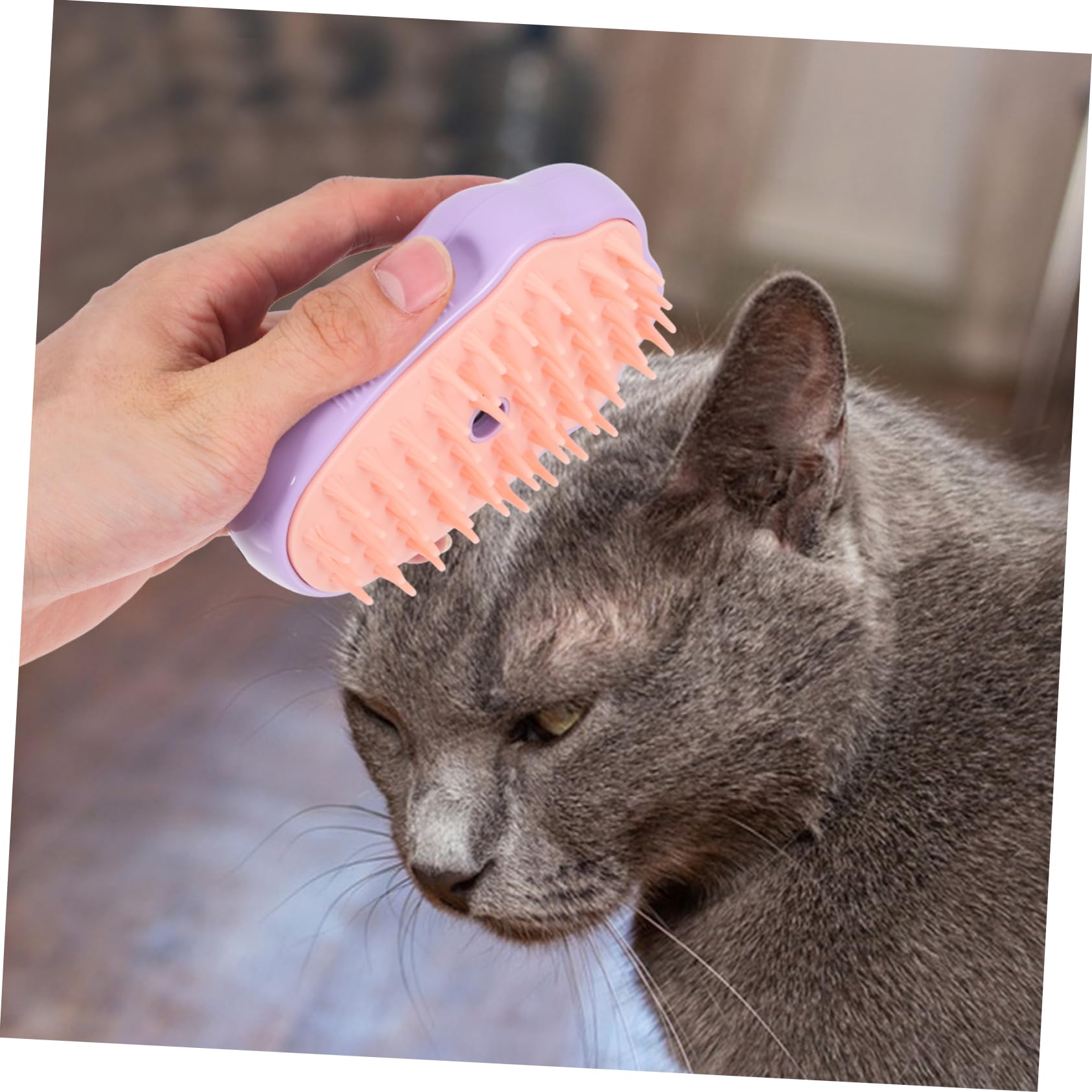INOOMP 5stücke Cat Steamer Brush Multifunktionale Katzenbürste Mit Dampfreinigung Sanfte Massage Und Selbstreinigung Für Fellpflege Von Katzen Und Hunden