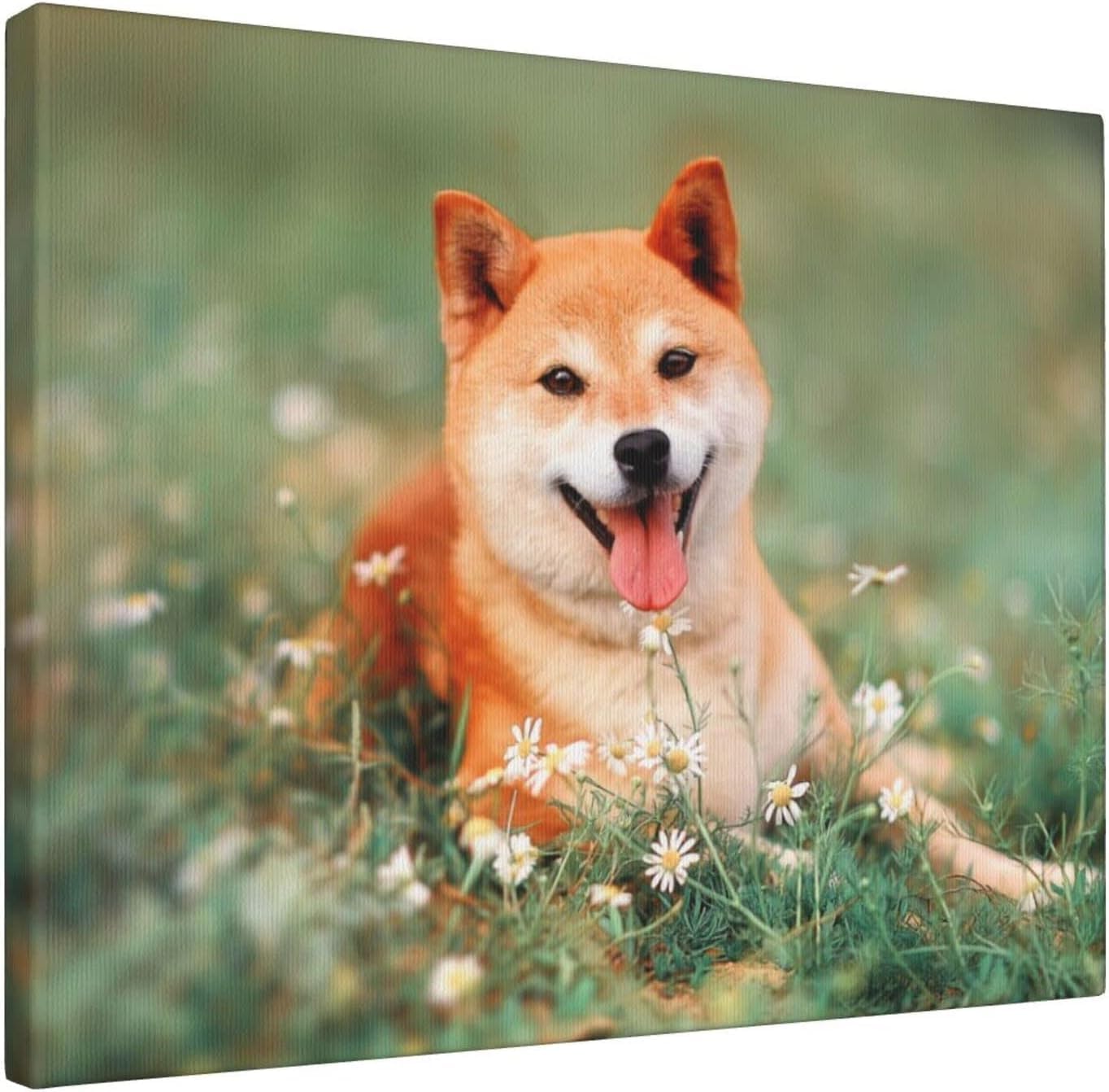 Amazon.co.jp: アートポスター フレーム 装飾画 柴犬 いぬ 犬柄 花柄