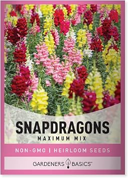 Gardeners Basics, Snapdragon Seeds for Planting Maximum Mix Snap Dragon Annual Flower Heirloom, Non-GMO Variety- 400mg Seeds Great for Summer Seeds for Gardening Flowers Gardens