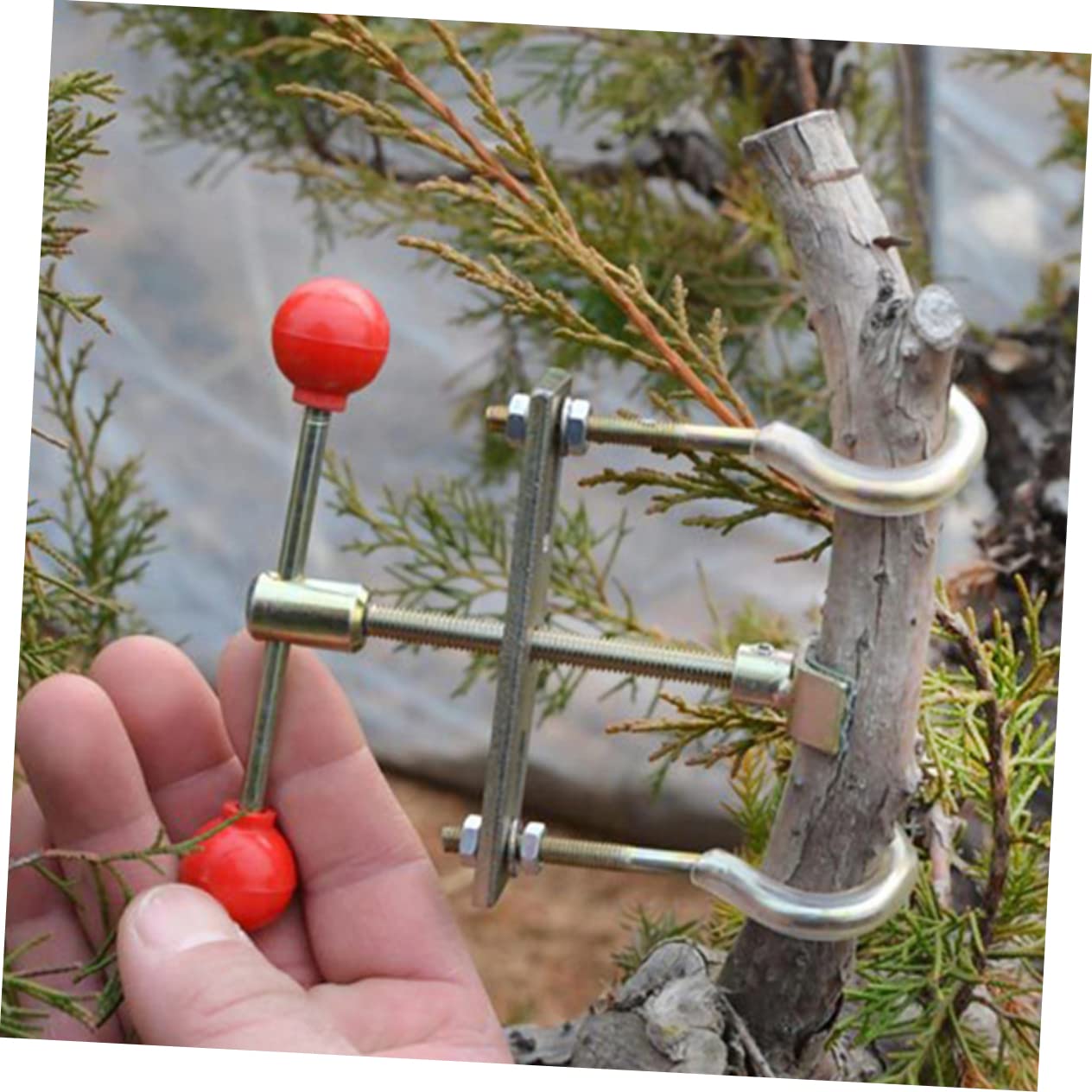 BESPORTBLE 3pièces Outil De Bending De Branches pour Bonsai Outil De Jardinage Professionnel pour Ajustement Et Modulation des Branches Matériau avec Bouton Sphérique pour Éviter Les