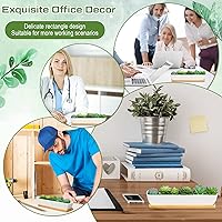 Vista 6 de Weewooday 4 macetas blancas para suculentas de 11 pulgadas de largo, rectangular, de cerámica, adecuadas para interiores y exteriores, hogar