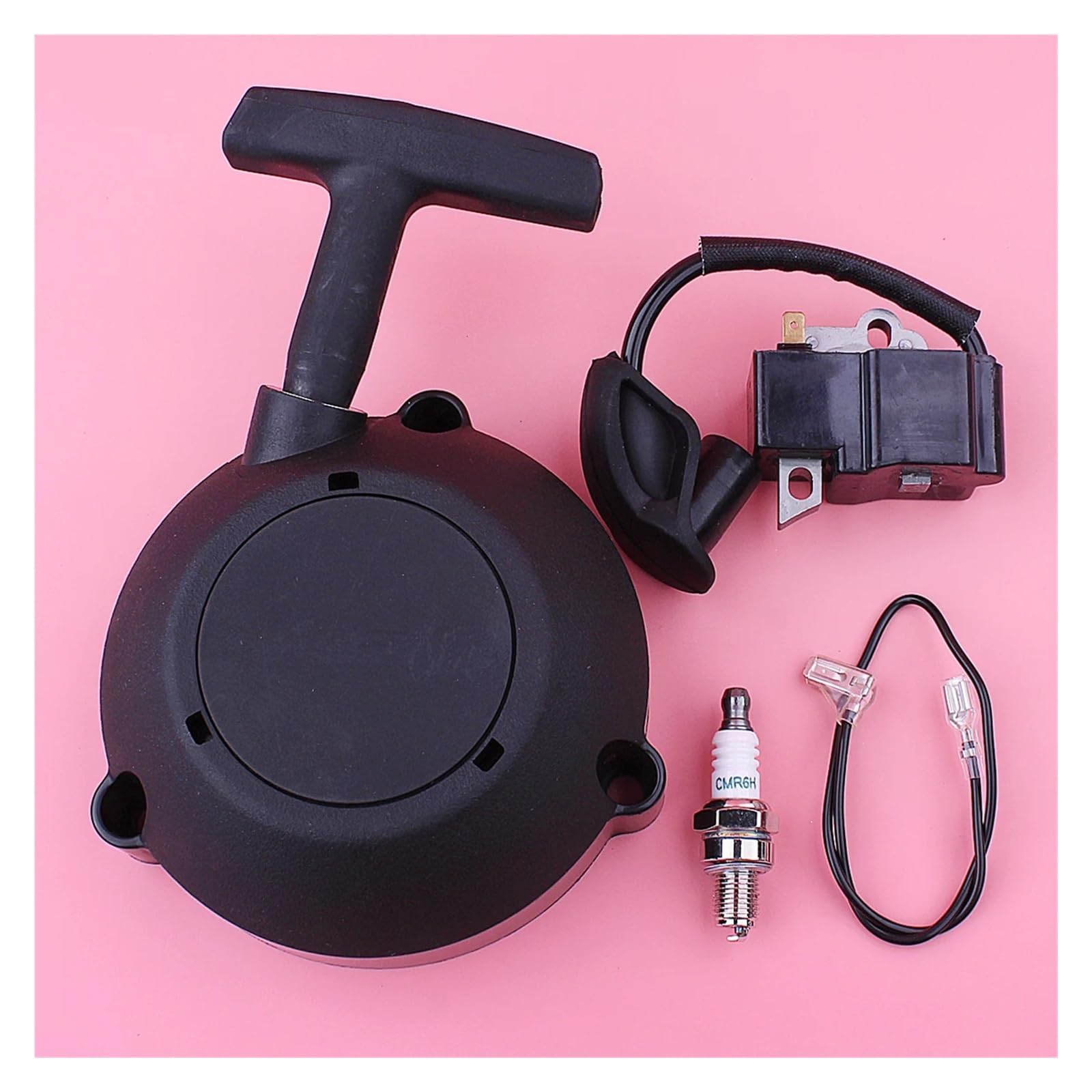 Kit de bobine d'allumage pour démarreur à rappel BR600 BR550 BR500 42821900303