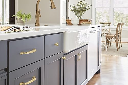 Miniatura 9 de Amerock  Mango de electrodoméstico  Champán dorado  18 pulgadas (17.992 in) de centro a centro  Highland Ridge  paquete de 1 unidad  Jaladera de