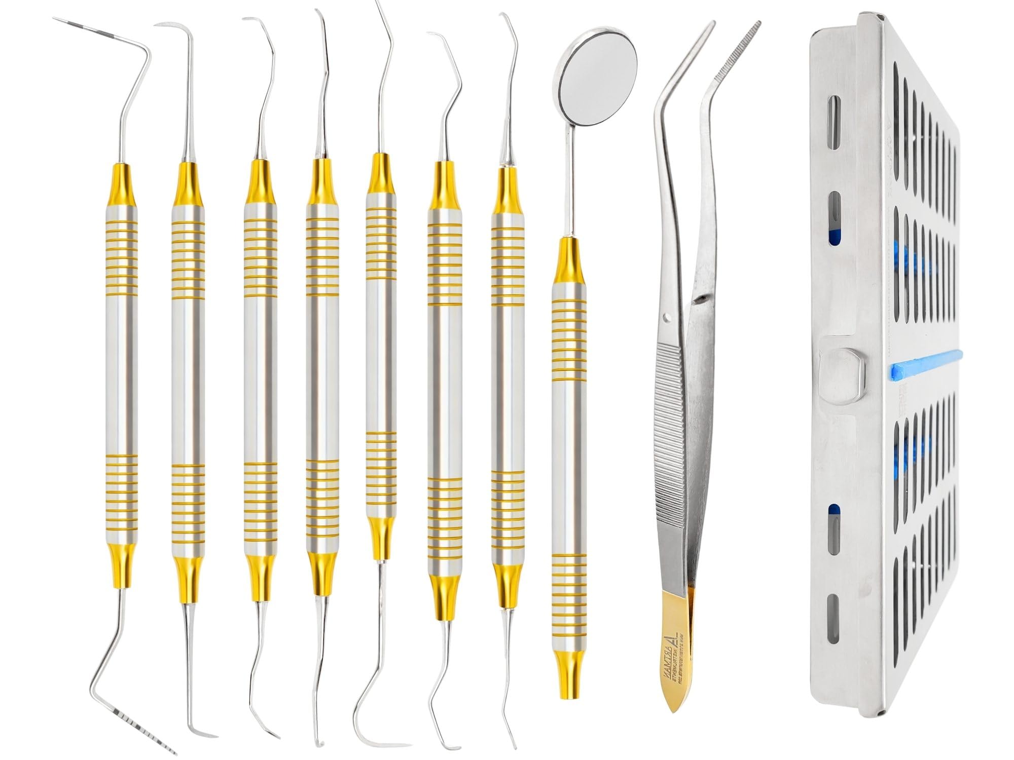 ARTMAN INSTRUMENTS Dental Hygienist Tool Kit (10 PCs) – Includes Mirror, Probe, Tweezer, Scalers, Pocket Probe, Curettes – Prophylaxis Teeth Cleaning Set, Autoclavable, with Sterilization Cassette