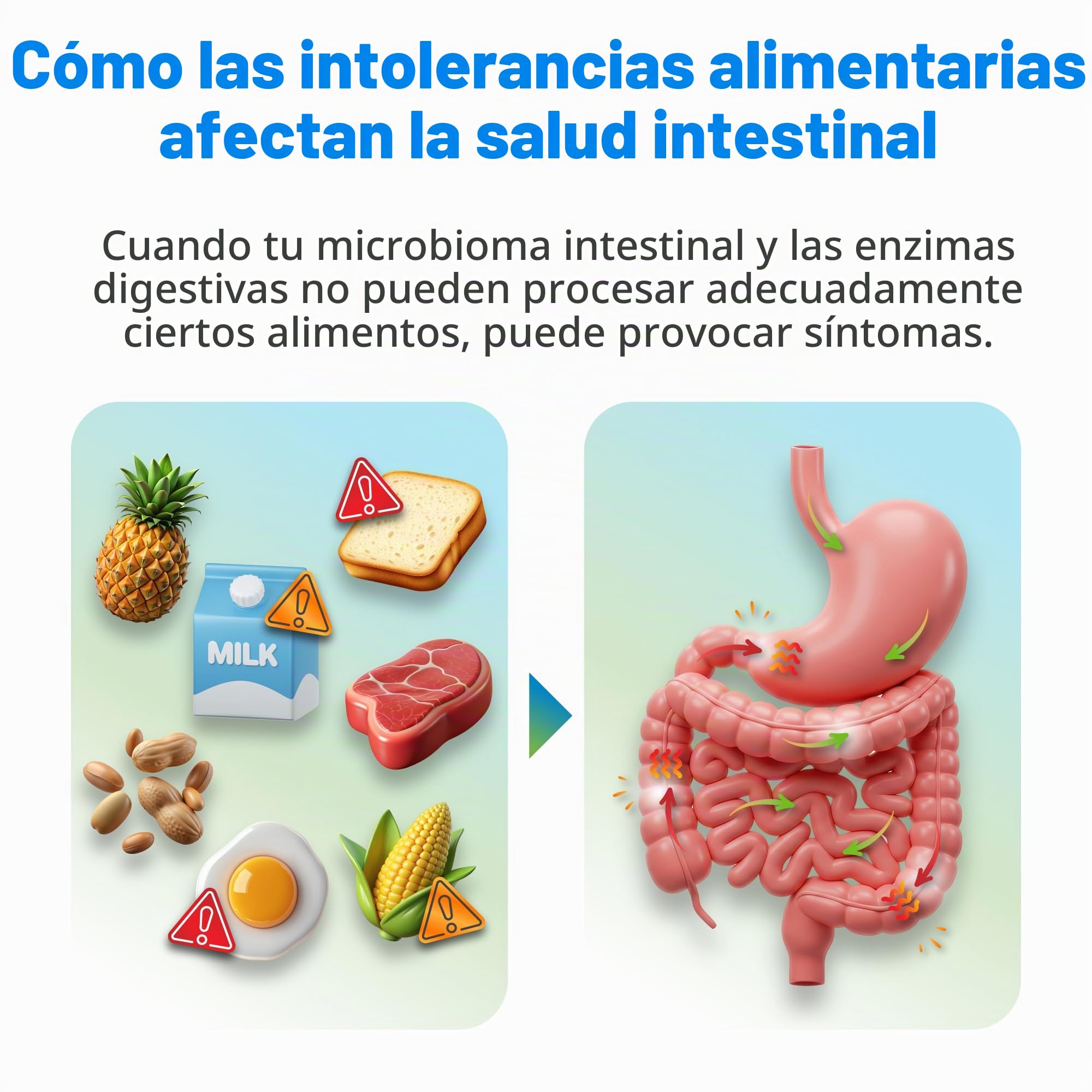 5Strands Prueba de salud intestinal para adultos y niños, más de 500 artículos probados, muestra de cabello en casa para intolerancias alimentarias relacionadas con problemas digestivos, irritación de