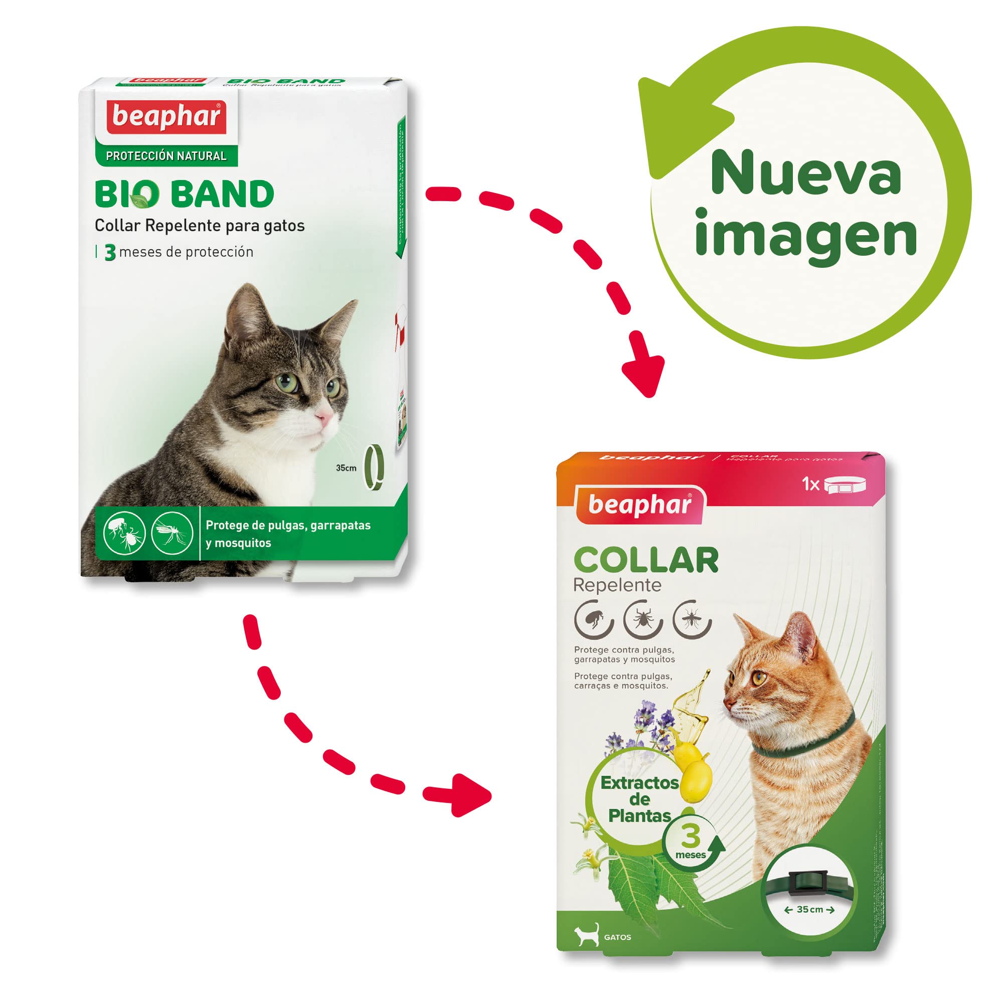 Beaphar Collar Repelente Natural para Gatos - 3 Meses de protección Natural contra garrapatas, pulgas y Mosquitos - para Todo Tipo de Gatos 35CM