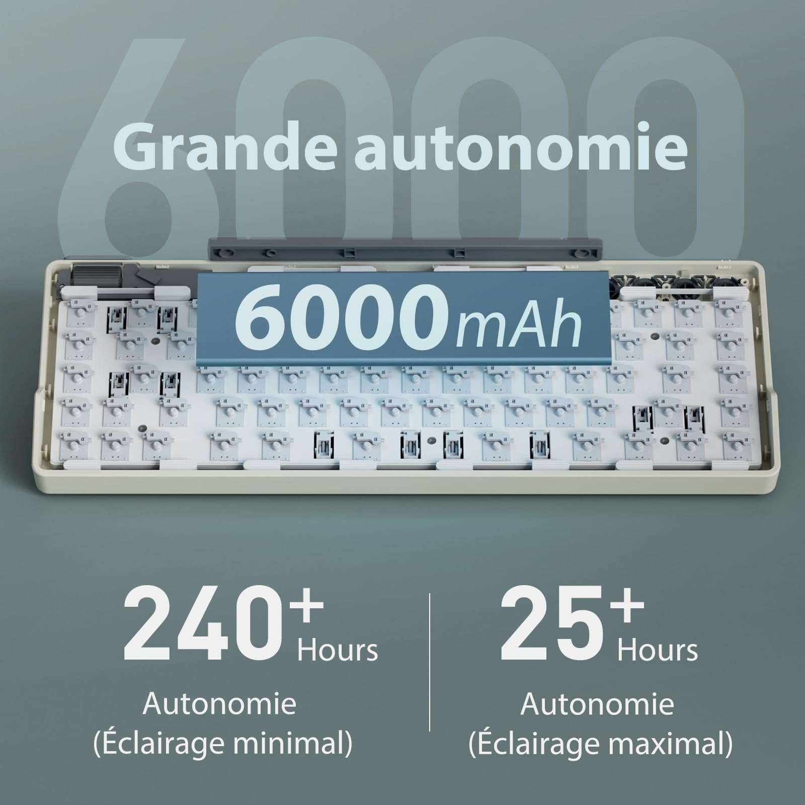 RK ROYAL KLUDGE M70 Clavier Mécanique 75% sans Fil - Triple Connexion, 5 Macros Programmables, Écran État, Molette Verticale, Switches Creamy Tactiles Hot-Swap, AZERTY Français, Batterie 6000mAh