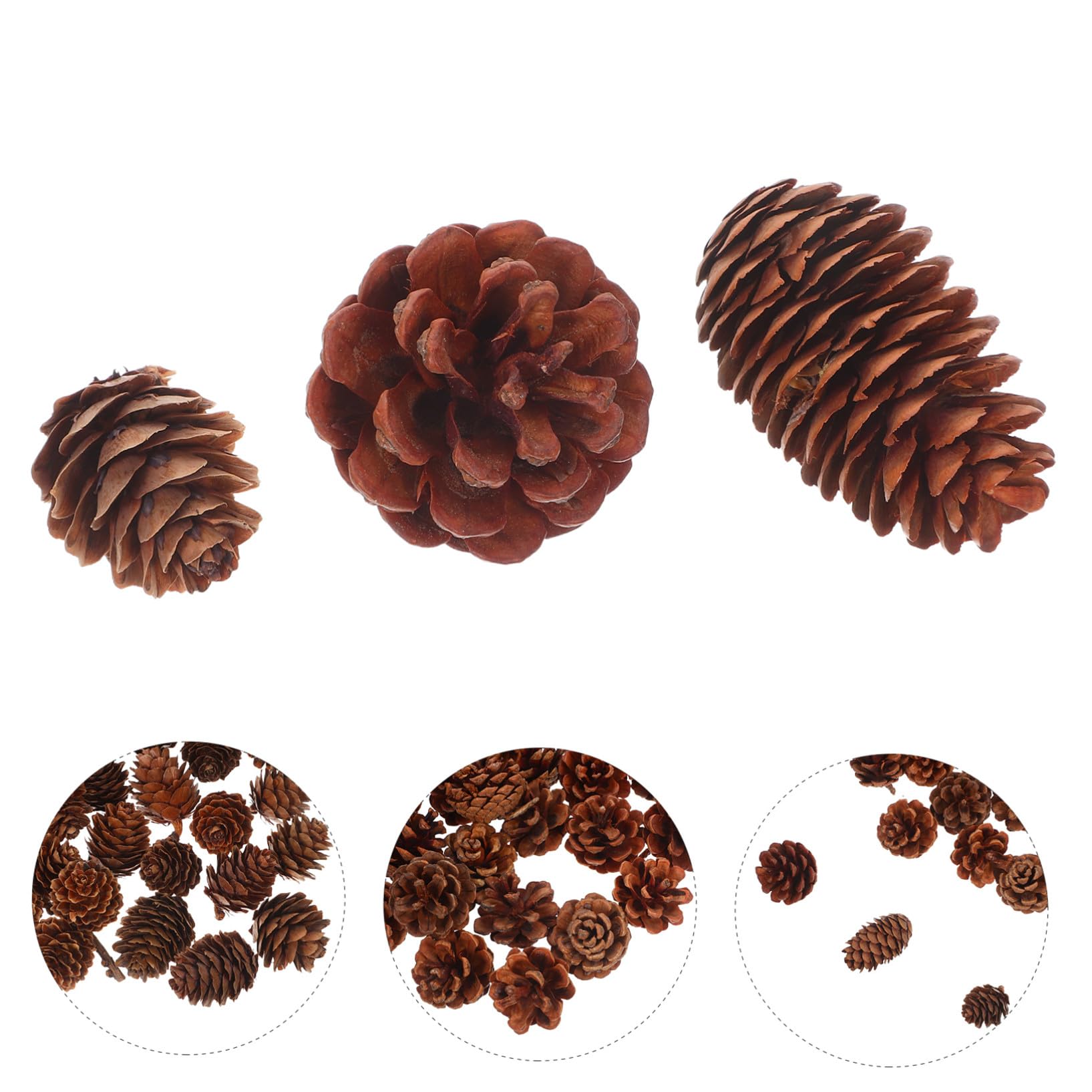 POPETPOP 120 Piezas Piñas Secas Naturales Mini para Manualidades Decoración Navideña con Piñas para Coronas y Relleno de Jarrones Adornos Festivos para Bodas y Fiestas