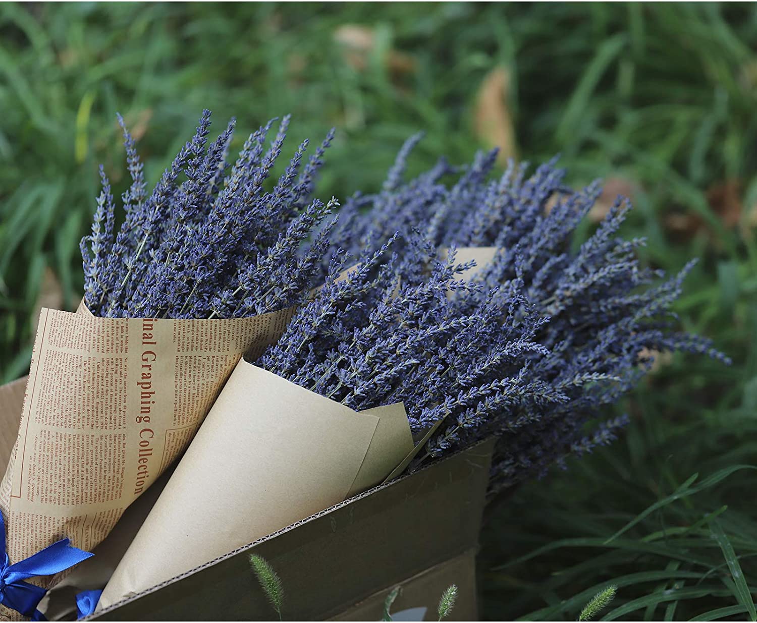 Cedar Space Flores de Lavanda Secas 2 Atados 16 Pulgadas miniatura 7