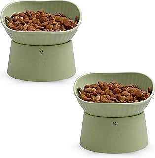 Foodie Puppies Pet Elevated Raised Bowl for Cats, Kittens, and Puppies - (Ribbed Bowl, Green) | 45 Degree Tilted | Cat Foo...