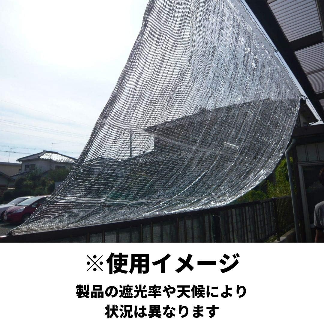 Dio Chemical Blackout Net Dio Mirror