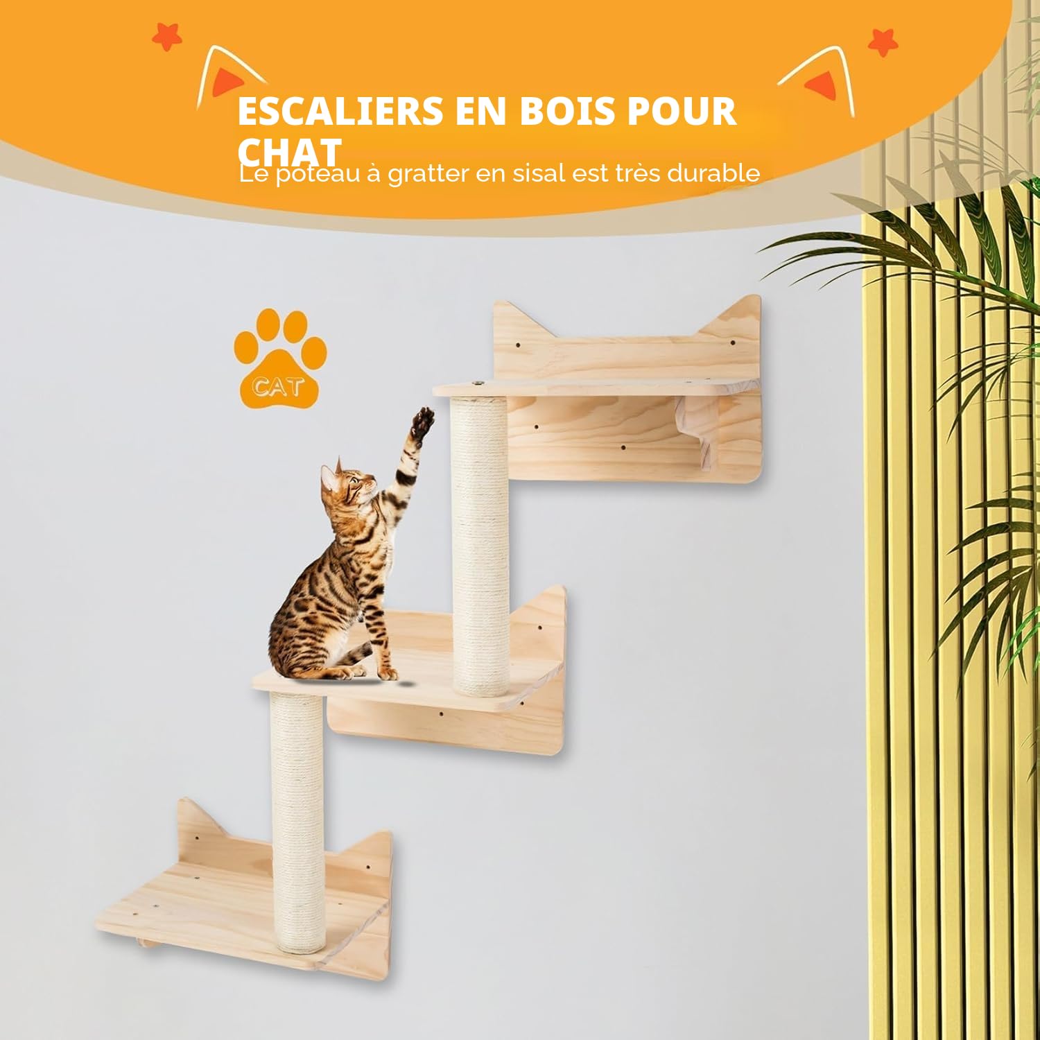 Étagères murales pour Chats, Ensemble de Meubles muraux, perchoirs et étagères d’Escalade pour Maison intérieure à Fixation Murale