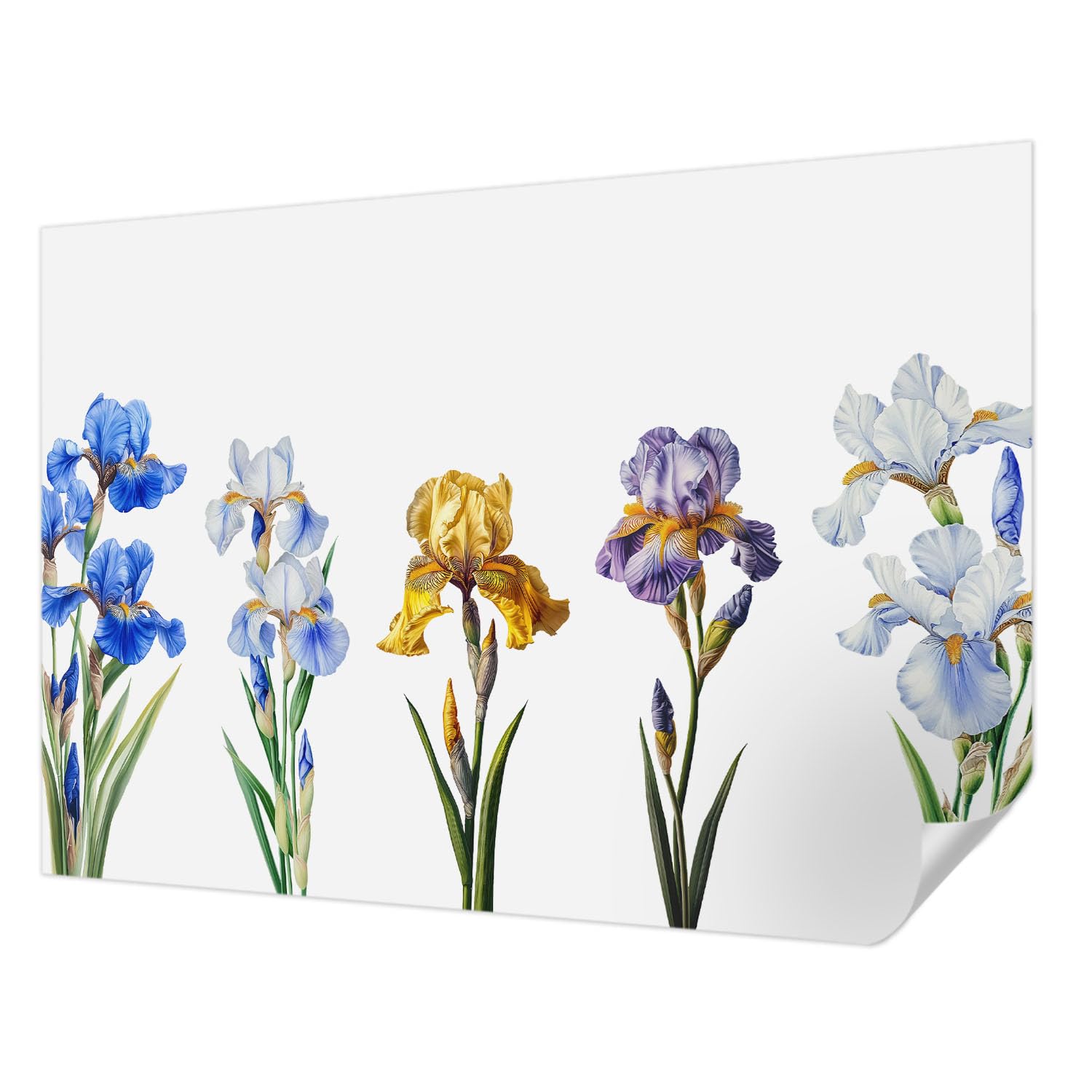 Papier peint auto-adhésif pose murale facile sans colle fleurs d'iris Tulup 208x146