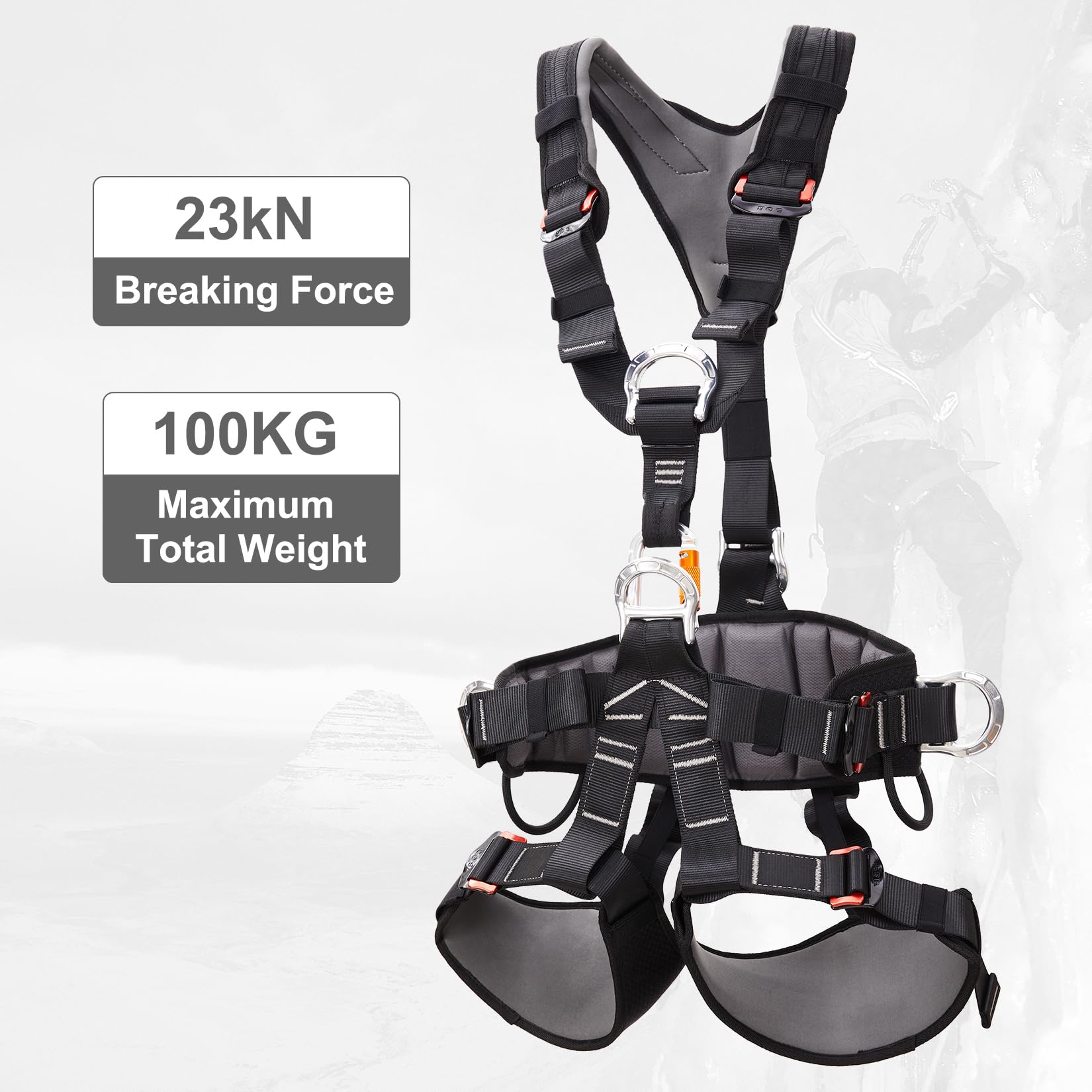 View 4