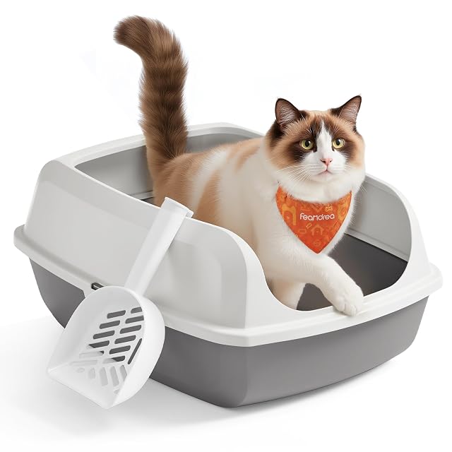 Feandrea Caja Arenero con Bordes Altos, Tamaño XXL, Abierta, con Pala, para Gatitos y Gatos Grandes