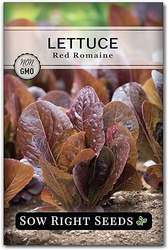Sow Right Seeds - Semillas de lechuga romana roja para plantar - Paquete de reliquia sin OMG con instrucciones para plantar un huerto casero - Al