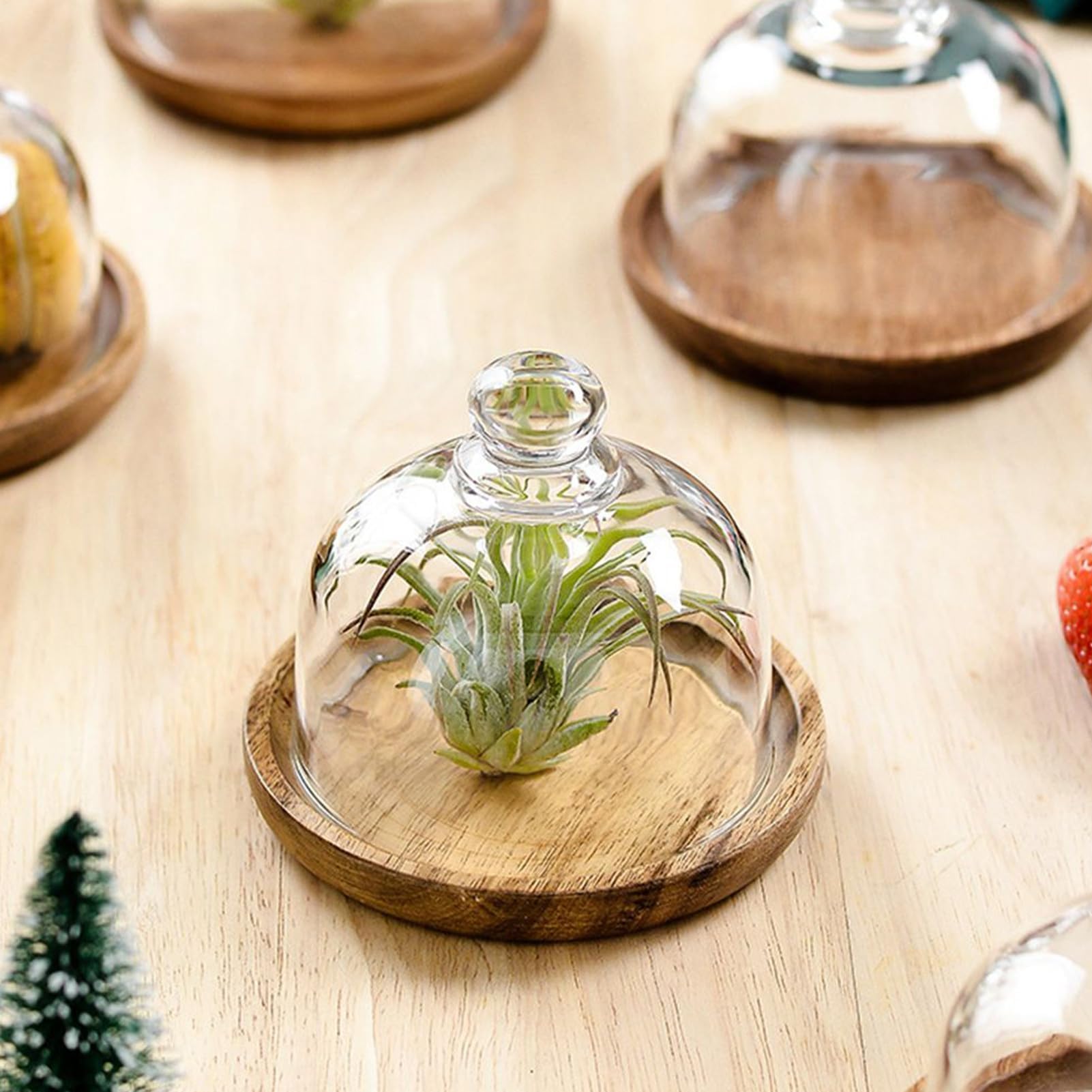 Soporte de Madera para Tartas – Pequeño Soporte para Tartas de Fiesta con cúpula – Bandeja para Servir en la Cocina, repostería, postres, Frutas y Aperitivos – Ideal para Decorar m