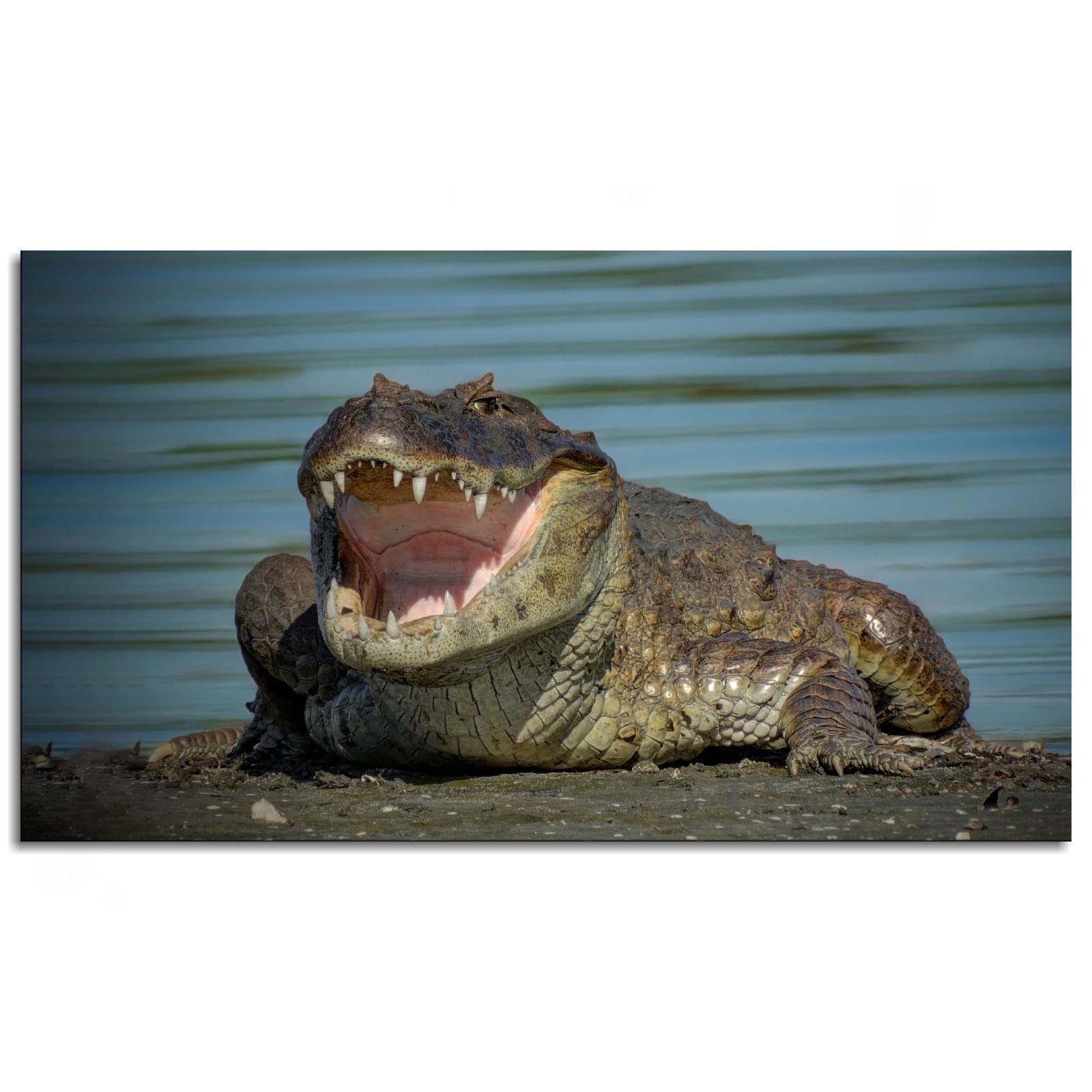 Amazon.com: SSDDKL Reptil Sharp Teeth Water Wide Open Mouth