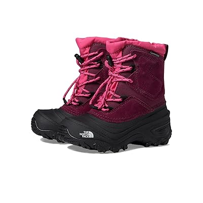 The North Face Kids Alpenglow V Waterproof (Toddler/Little Kid/Big Kid) Kids Shoes Boysenberry/TNF Black