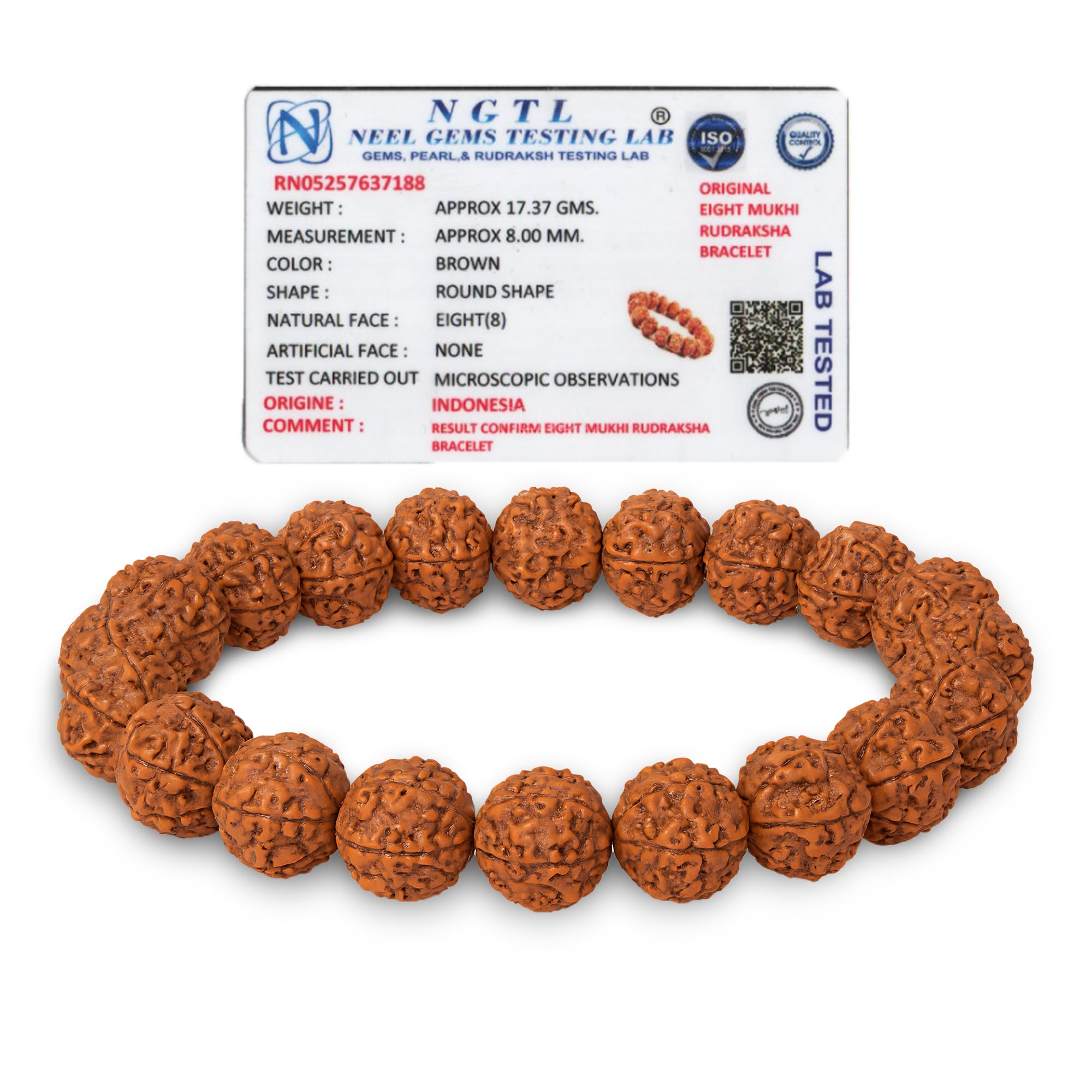8 Mukhi Rudraksha Bracelet for Men & Women | Original & Lab Certified Natural Rudraksha Bracelet | Spiritual Growth, Protection from Negativity Bracelet, Good Luck & Chakra Balances