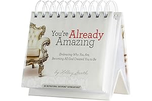 DaySpring Amazing Inspirational DayBrightener Daily Flip Calendar