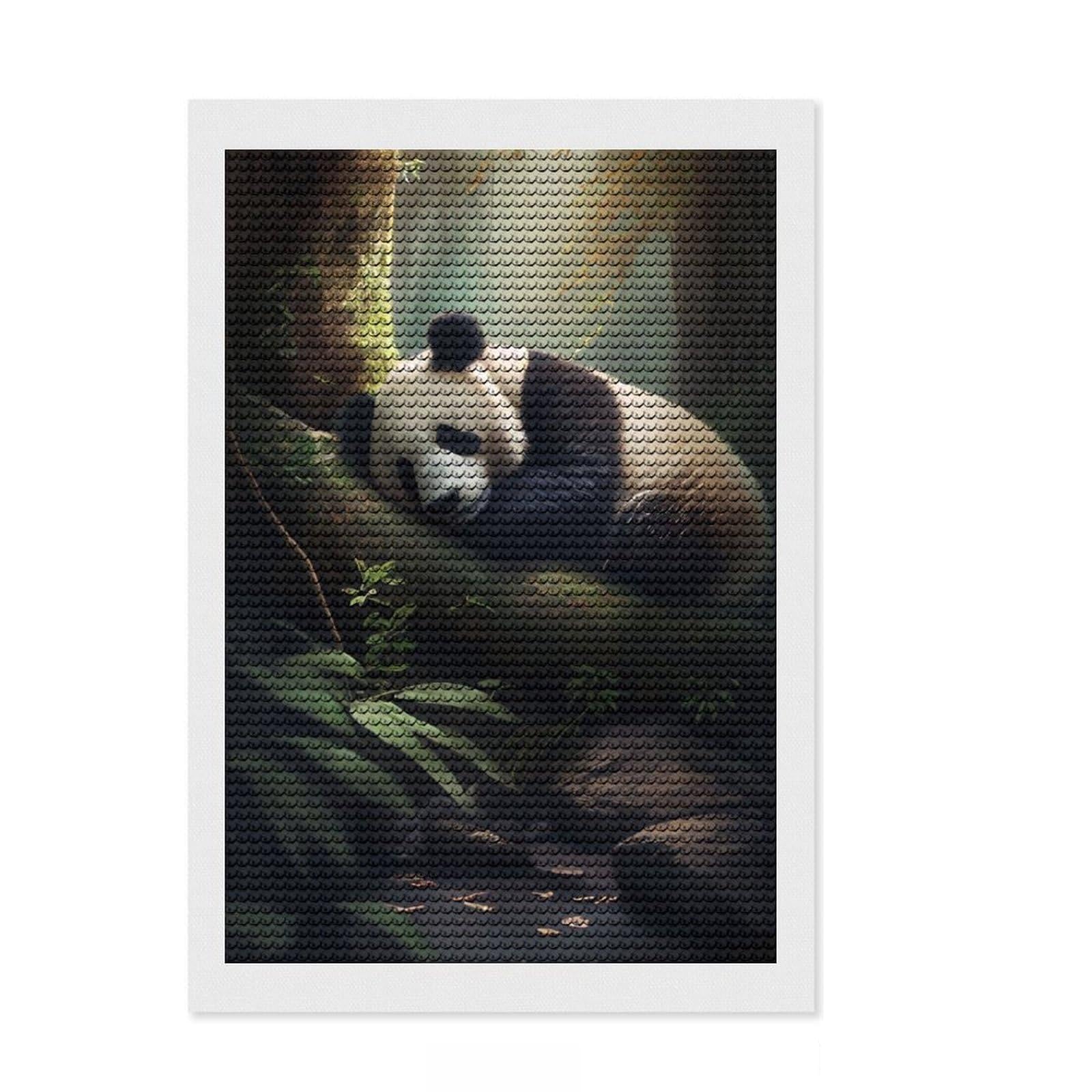 Junmoney Panda Forest Diamond Art Canvas 8"x12", Sparkling Round Gems, Neat Printed Canvas, with Tool Kit, Office Decor, Printed Canvas