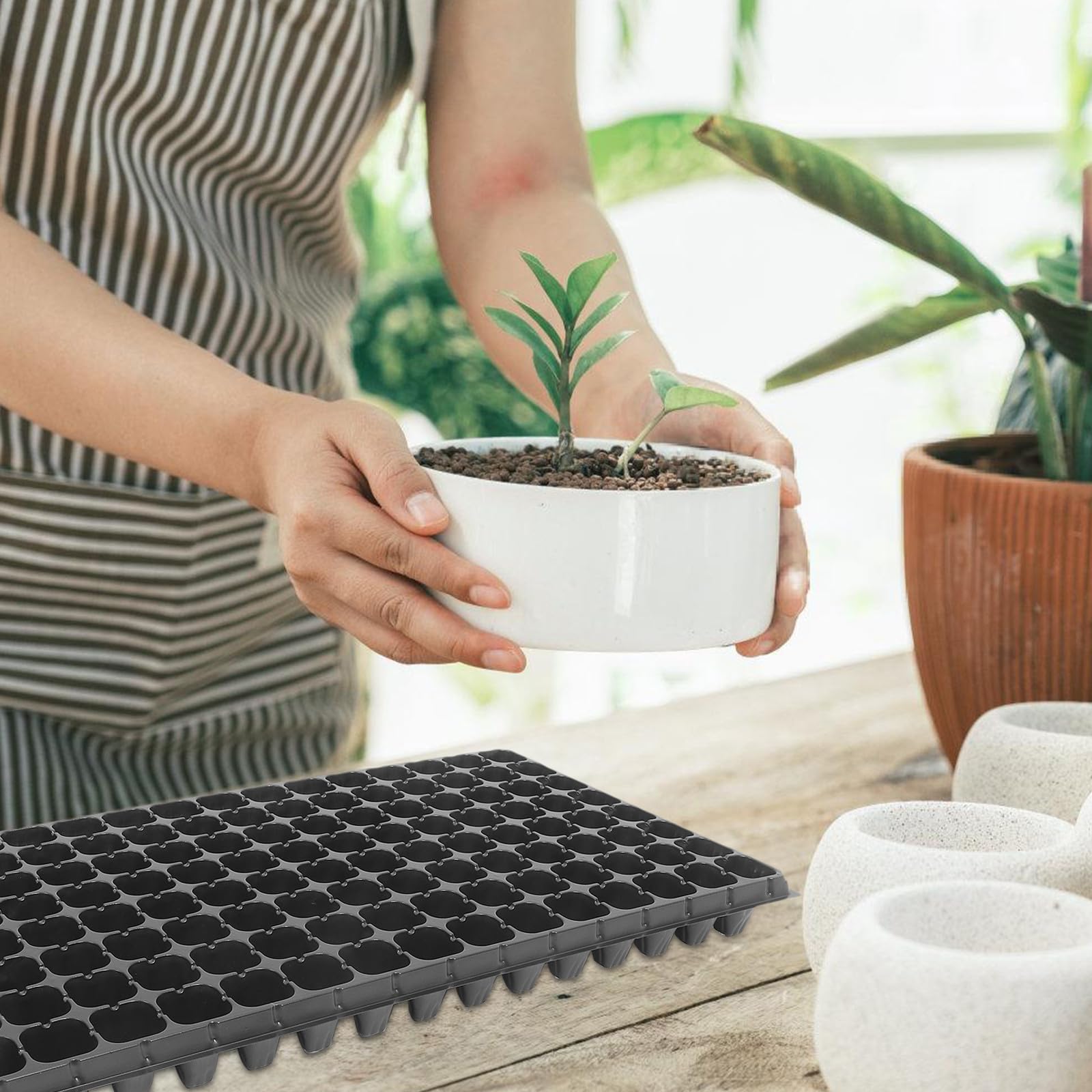 IMIKEYA Lot de 10 Plateaux de Germination réutilisables - 128 alvéoles - Plateaux de Culture pour la Germination en Serre intérieure, 80 g