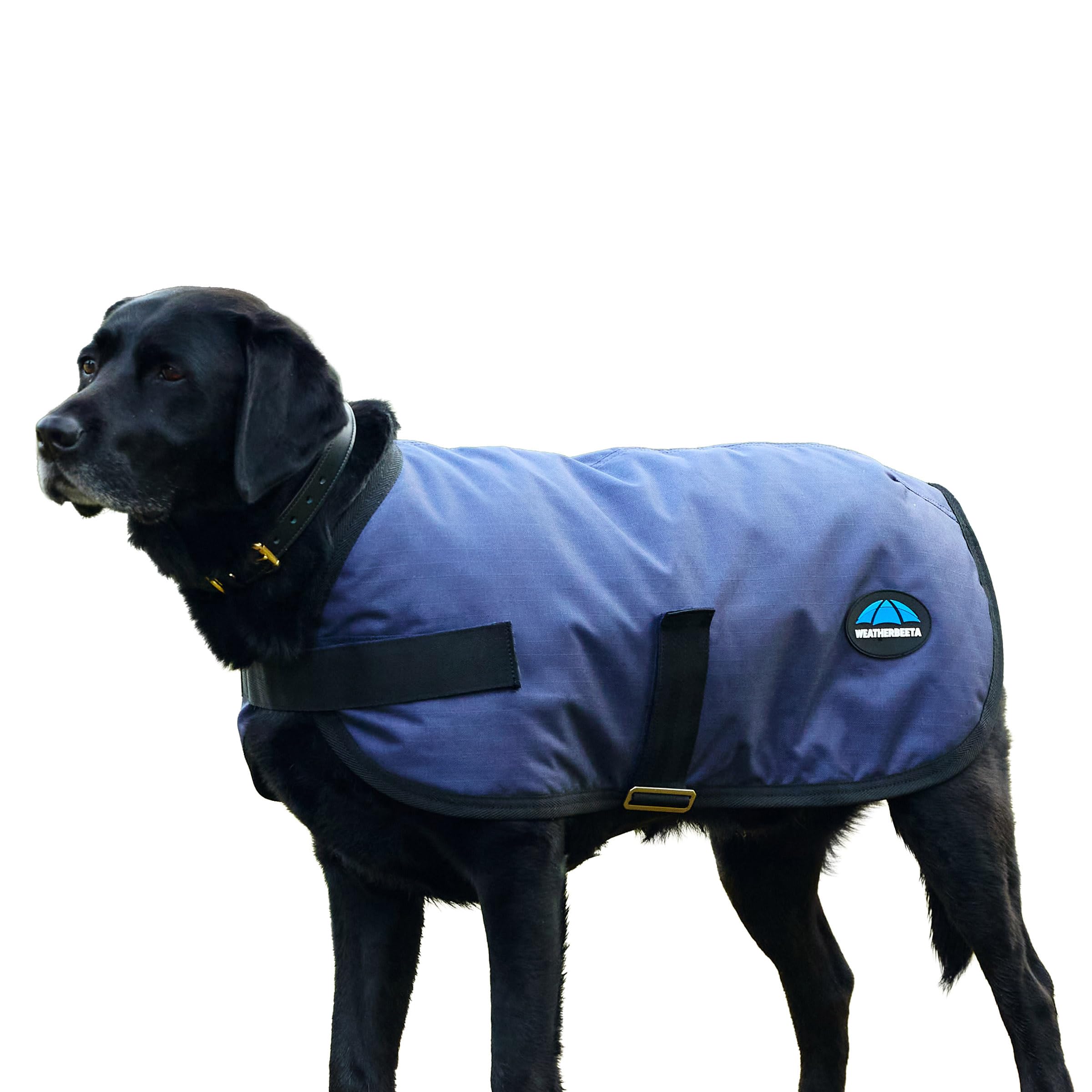 WeatherBeeta ComFiTec Classic Waterproof Dog Coat, Navy, 50cm โ image 1