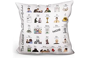 Dwight You Ignorant Pillow