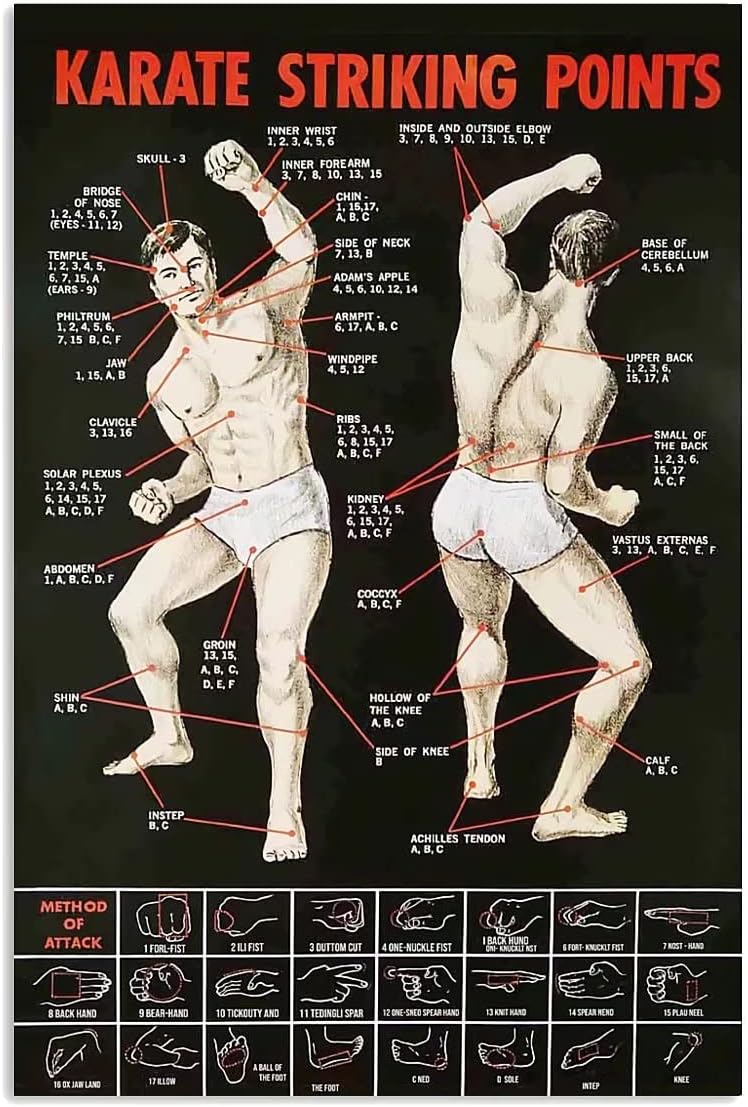Karate Knowledge Metal Tin Sign - Karate Striking Points Poster, Martial Arts Infographic, 8x12 Inch, Home Venues Club Room Bar Wall Decor, Karate Practitioner Guide Plaque