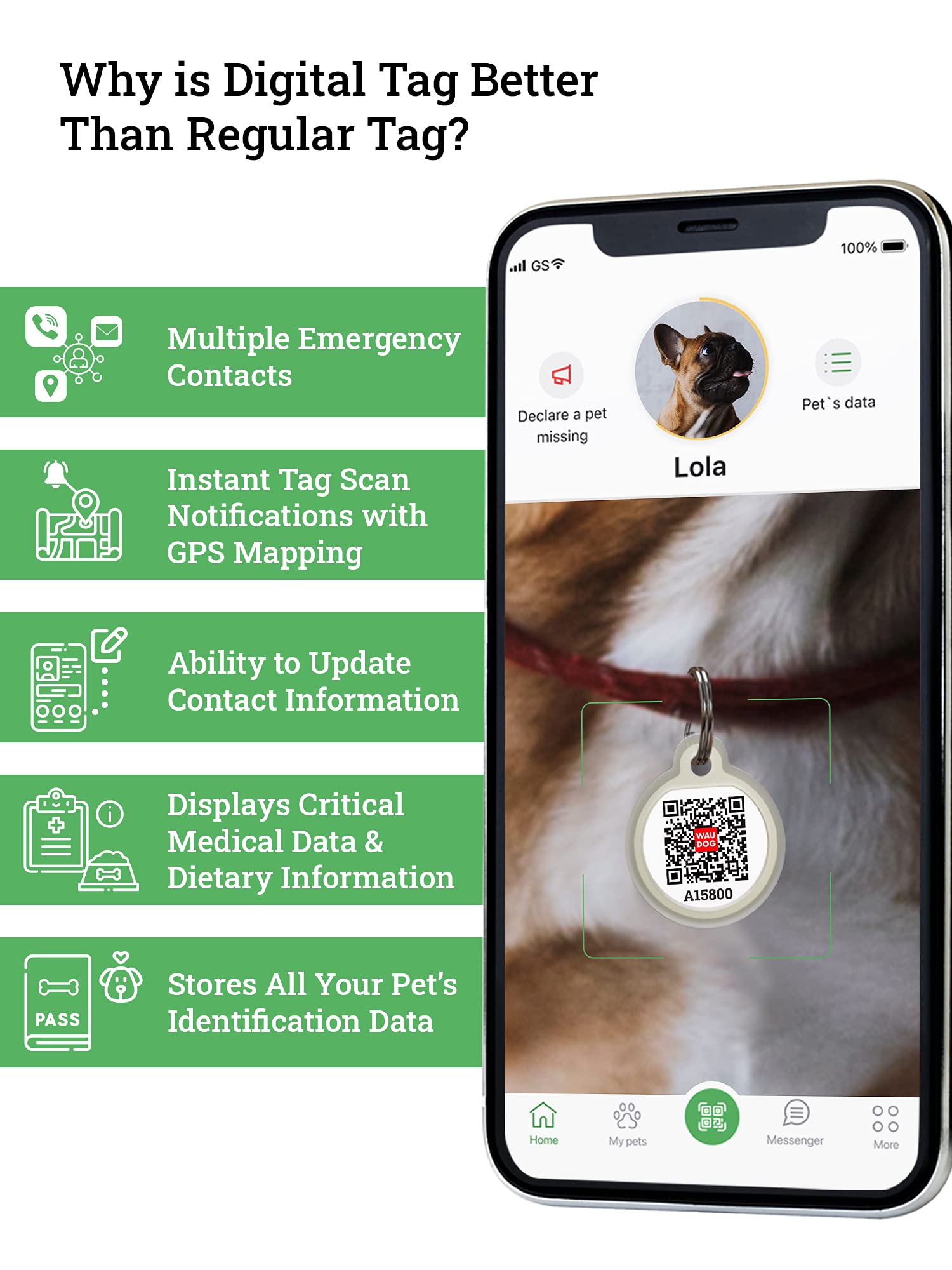 Our Lady of Guadalupe - Coated Dog Tag Necklace-With Free Chain