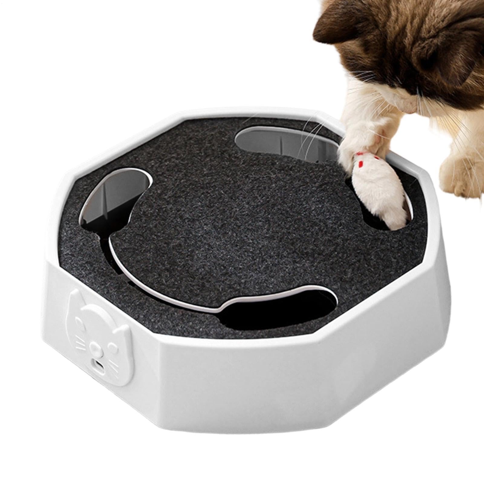 Giocattolo elettrico per gatti, gioco interattivo per gatti, giocattolo ricaricabile per gatti, per cucina, soggiorno, casa, appartamento, area giochi da
