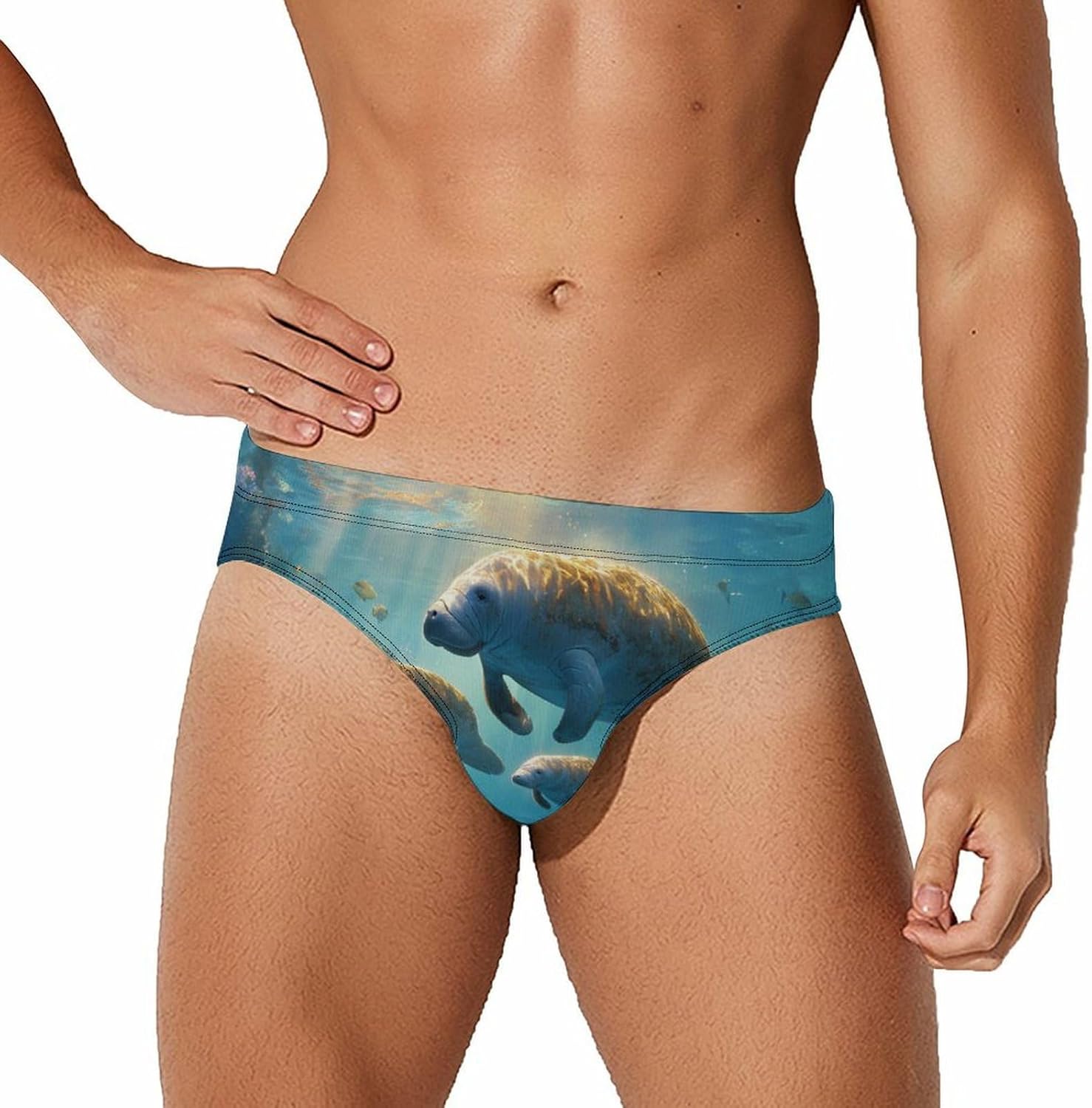 Ocean Manatee Men's Swimsuit Brief Sexy Bikini Briefs Retro Printed Swimwear Quick Dry Swimming Trunks 3X-Large