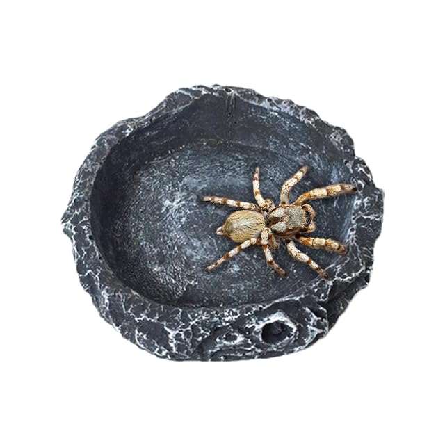 Foto 6 de 8 de delr Cuenco de agua para reptiles, comedero de resina para Crawler