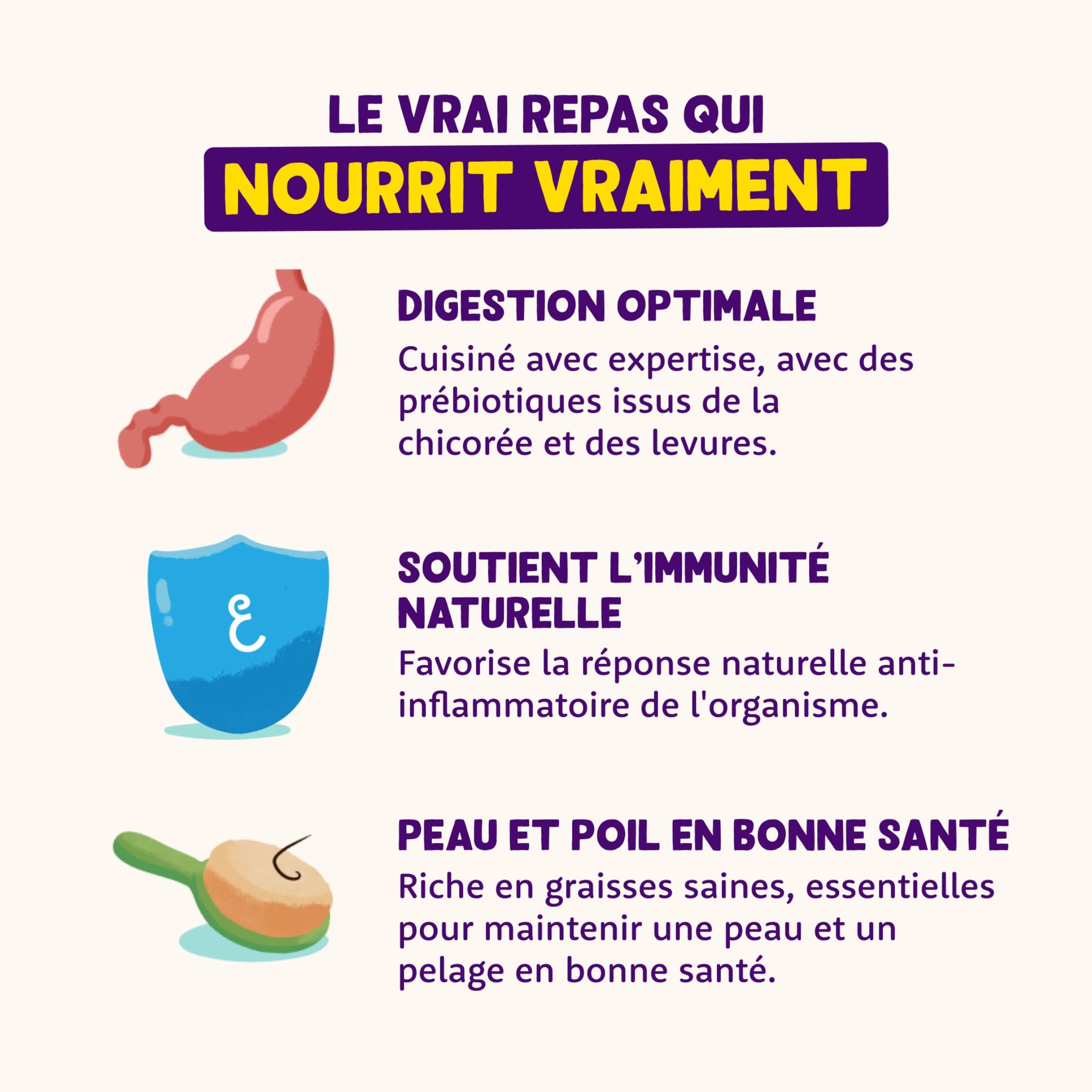Edgard & Cooper Filet pour Chat Adulte Filet Chat Sans céréales Nourriture Naturelle Lot 24 x 70g Thon frais, Alimentation Saine savoureuse et équilibrée