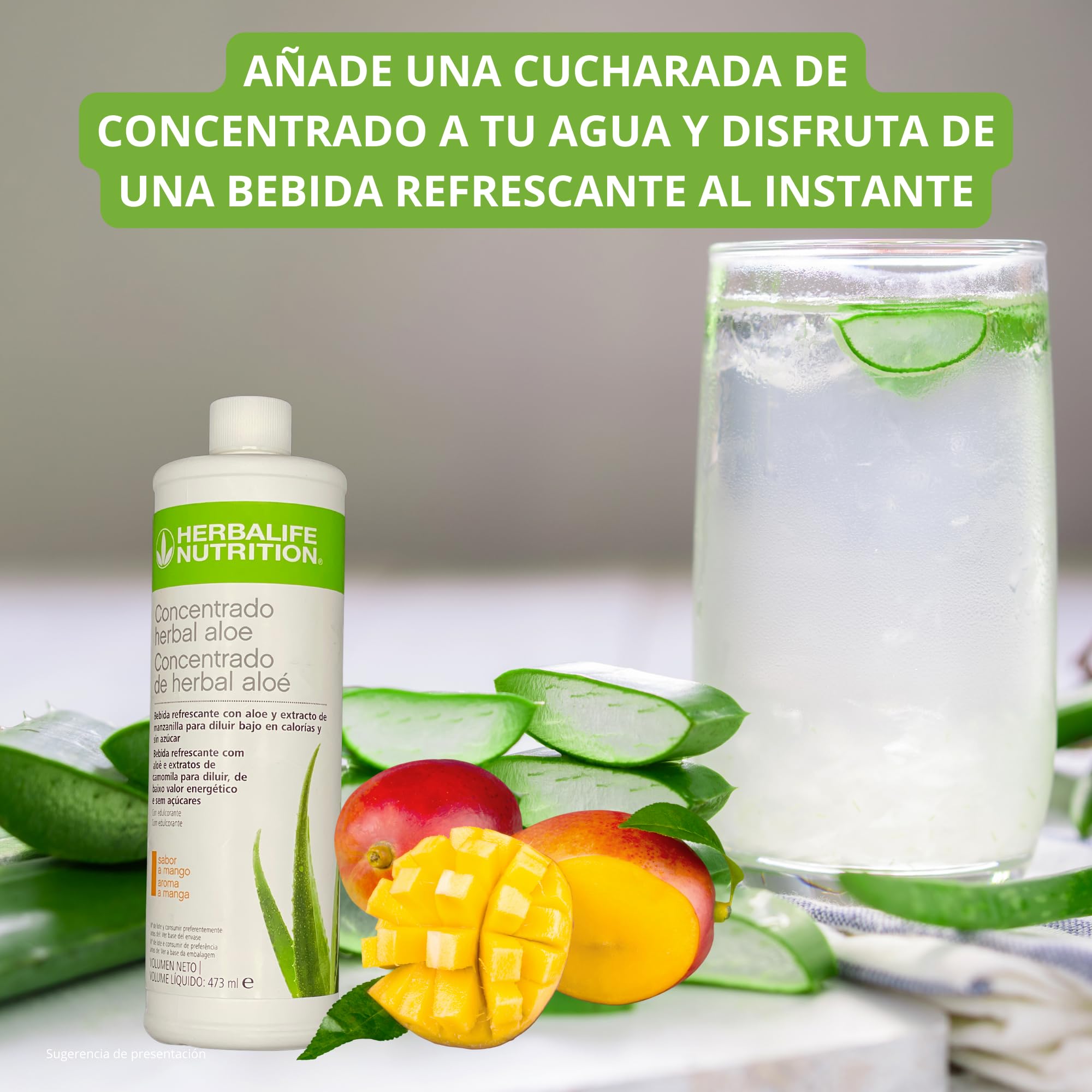 aloe vera zuhause Aloe vera im weien bertopf ELHO - Aloe vera