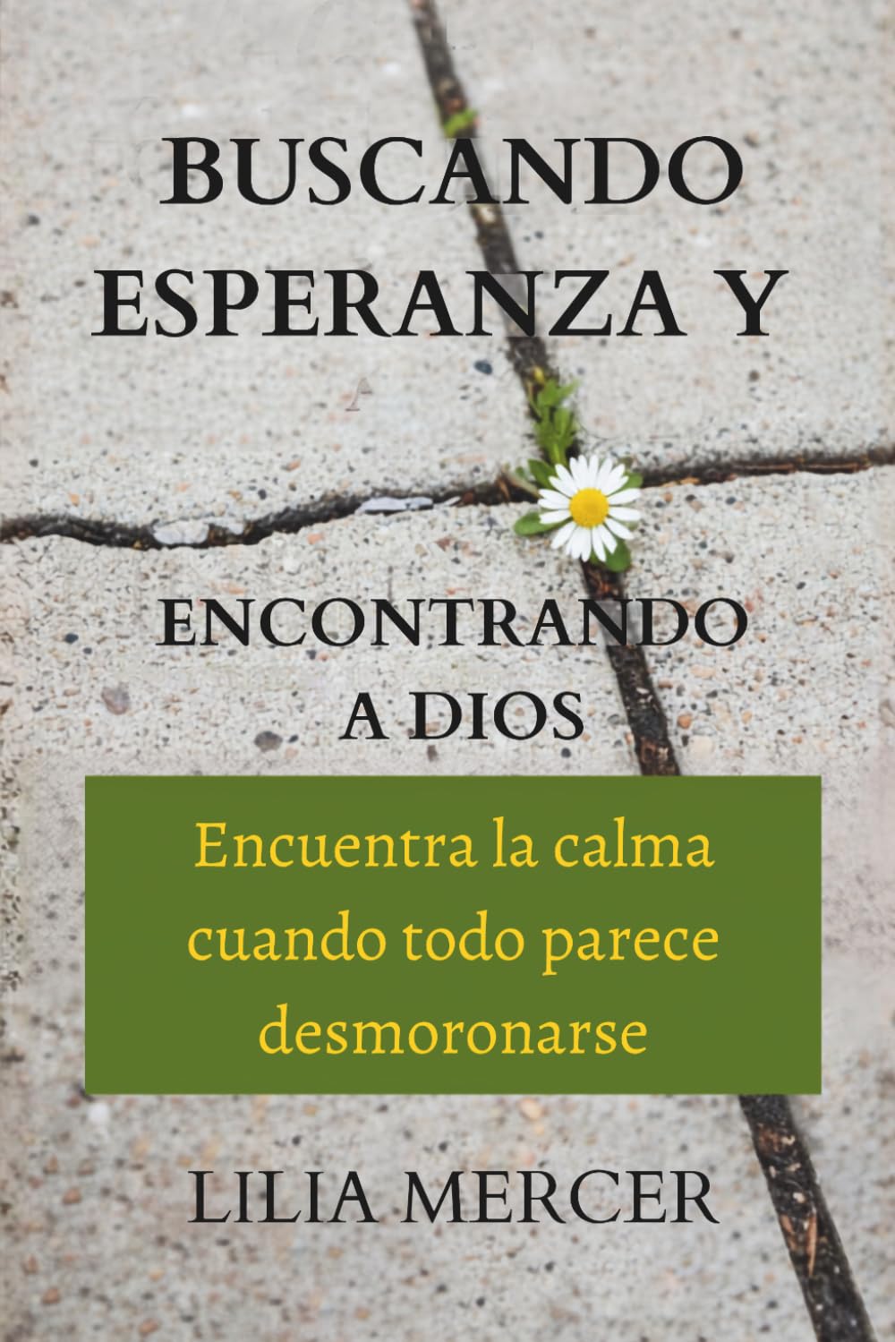 Buscando esperanza y encontrando a Dios: Encuentra la calma cuando todo parece desmoronarse