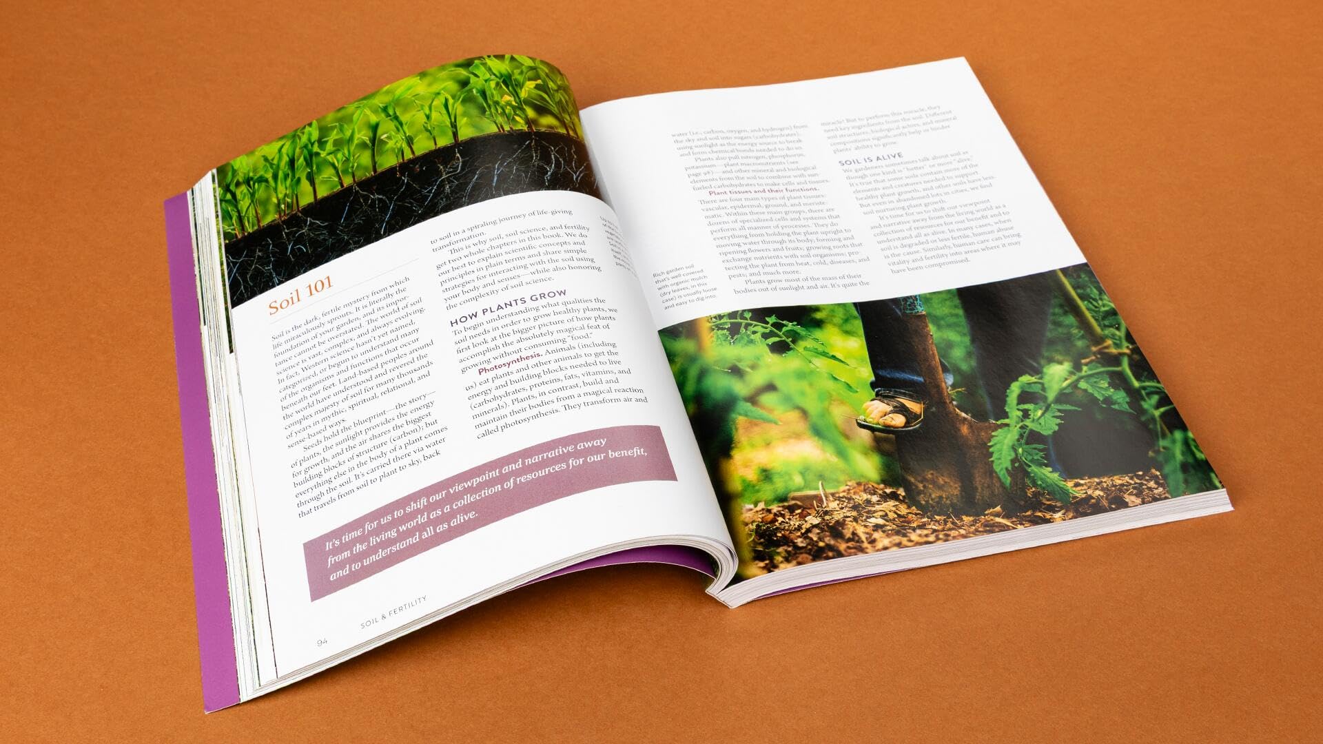 Grow Your Own Garden: A Complete Guide -15