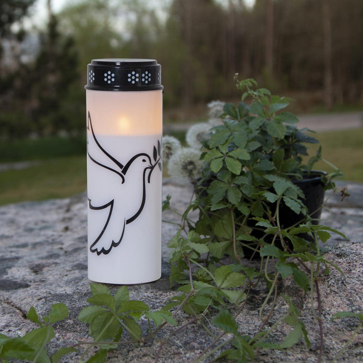 Lampe Funéraire LED Colombe 12cm - Minuterie Blanc Chaud Intérieur Extérieur