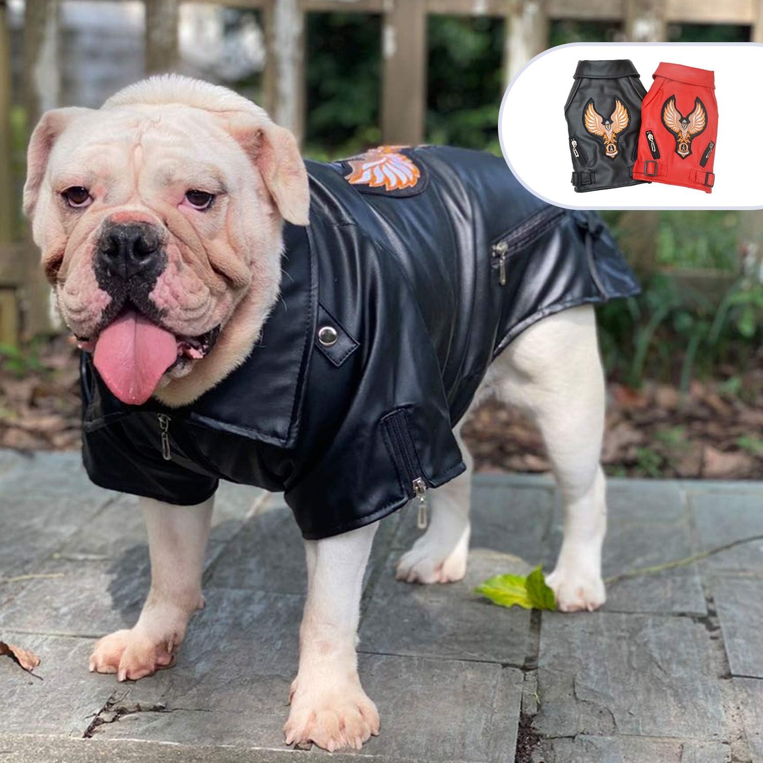 Lovelonglong Cool Dog Leather Jacket