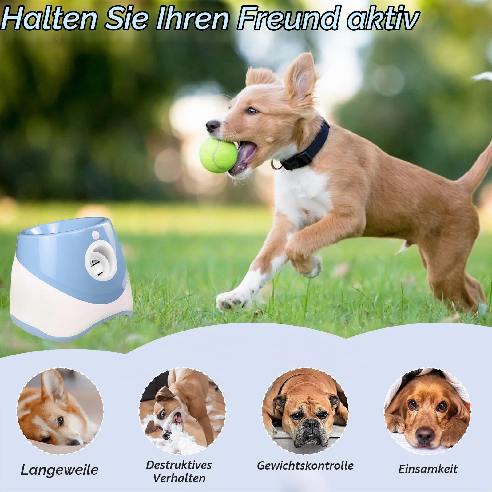 HAMON Automatischer Ballwerfer für Hunde, Ballwurfmaschine Hund mit 6 Pcs Tennisbälle, Interaktive Ballmaschine für Kleine und Mittlere Hunde, Wurfweite zwischen 10-30 FT