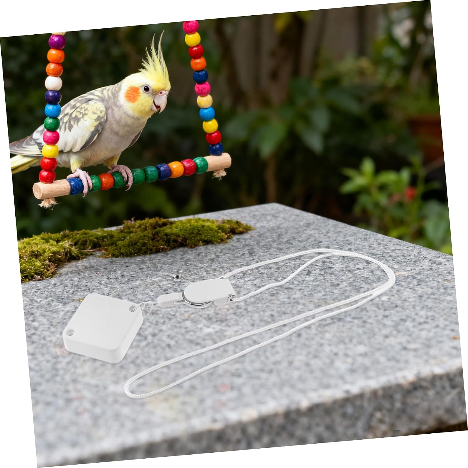 Retractable Bird Leash with Foot Ring for Parrot Training | Steel and Abs Build , Lightweight Portable Design Stainless Steel Suited for Cockatiel Use in Open Areas
