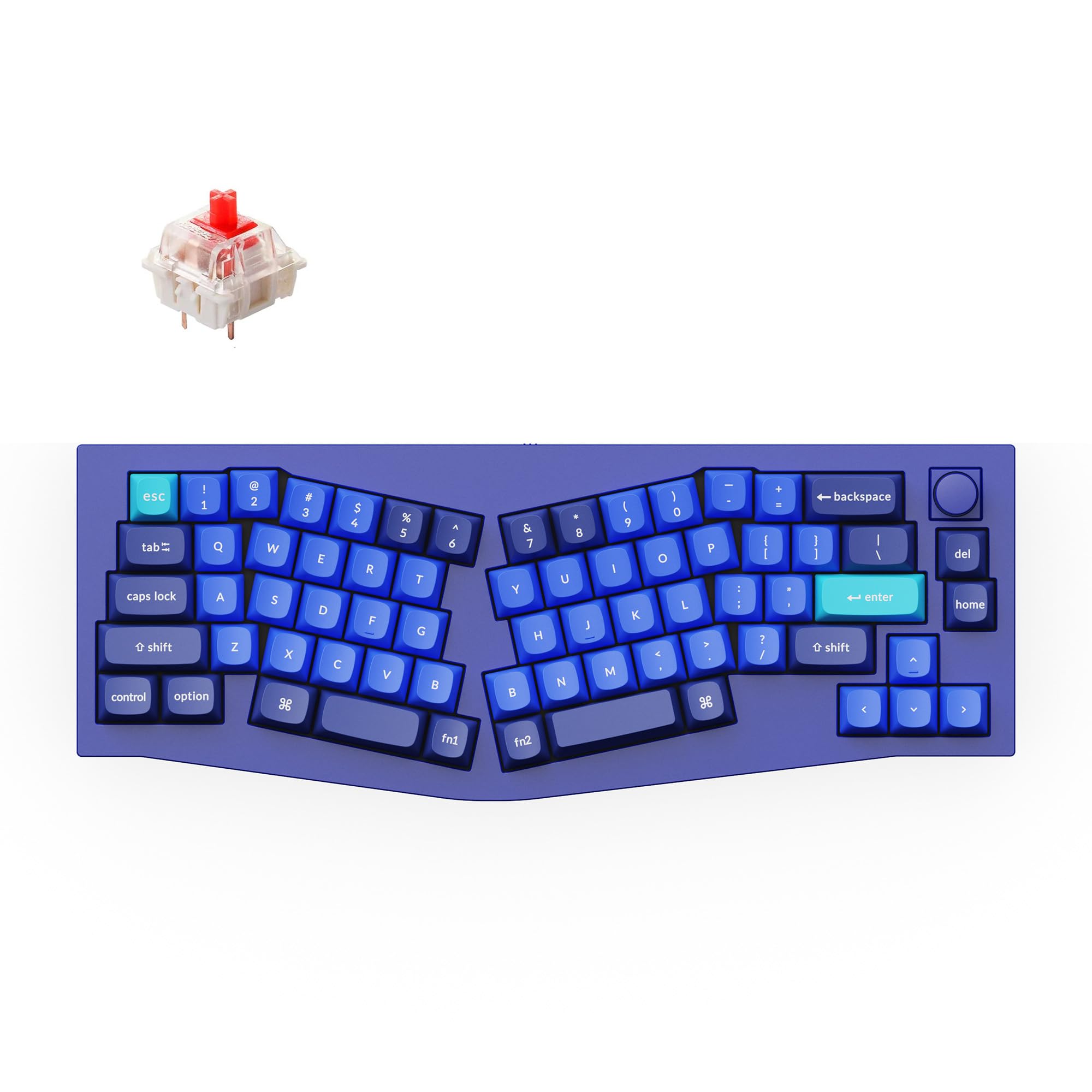 Keychron Q8 Wired Custom Mechanical Keyboard Knob Version, 65% Alice Layout QMK/VIA Programmable with Hot-swappable Gateron G Pro Red Switch Double Gasket Compatible with Mac Windows Linux (Blue)