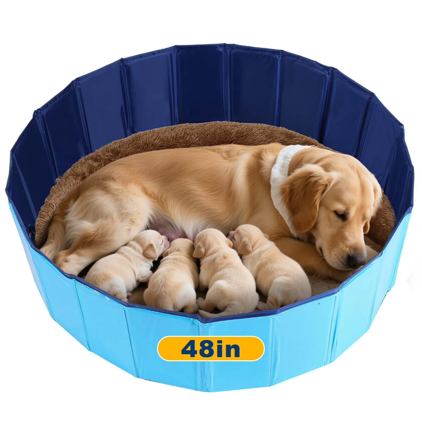 Photo 1 of FLKQC Whelping Pen for Dogs, Foldable Birthing Pool for Dogs, Whelping Box for Dogs and Puppies, Poartable Plastic Swimming Pool & Bath Tub (Blue) (47.2” Dia. × 11.8”H (120cm × 30cm))