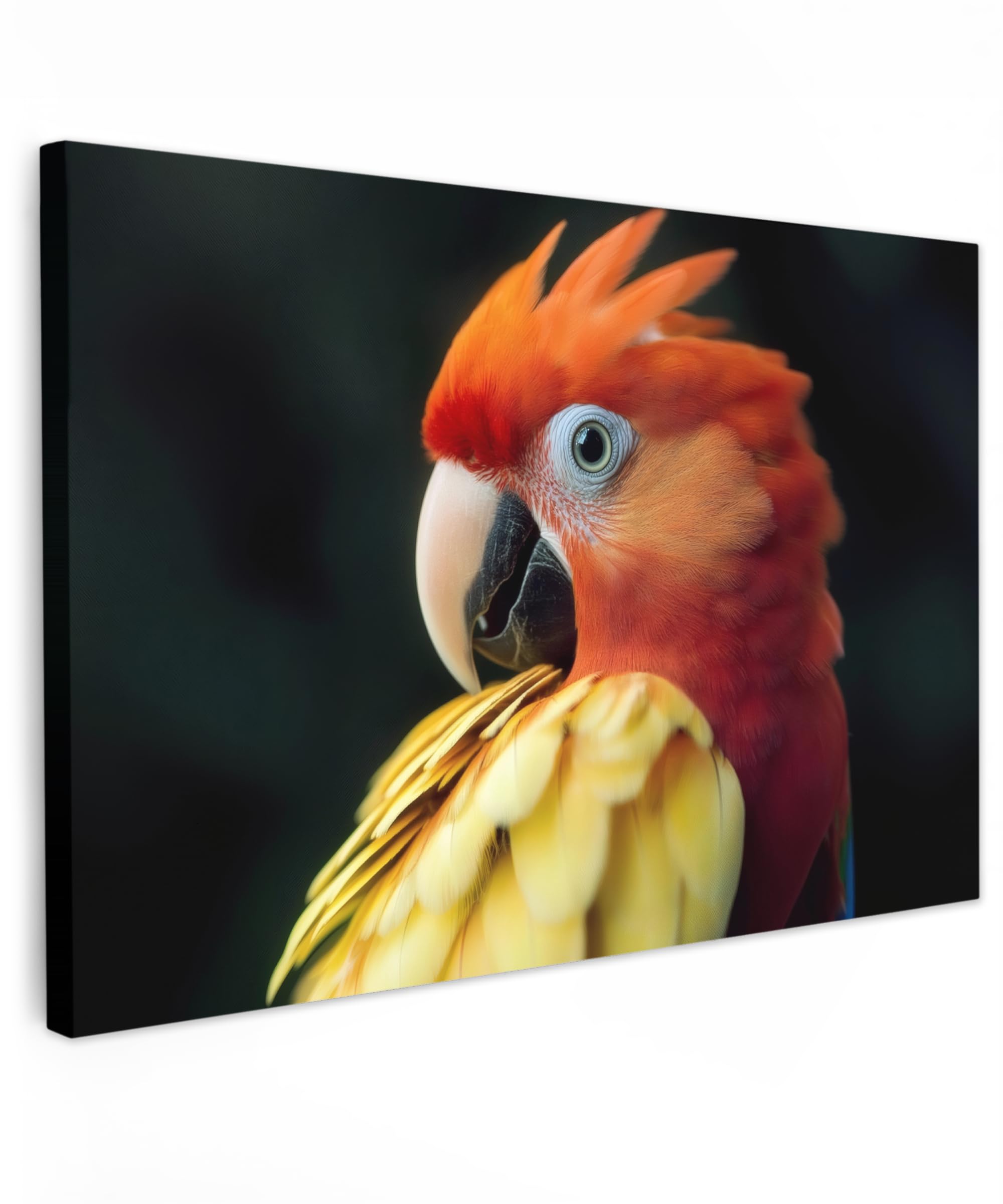 MuchoWow© Canvas Wall Art 24"x16" / 60x40 cm Home Decor Paintings for Living Room Decorations Gifts Hallway Close-Up - Parrot - Feathers - Orange