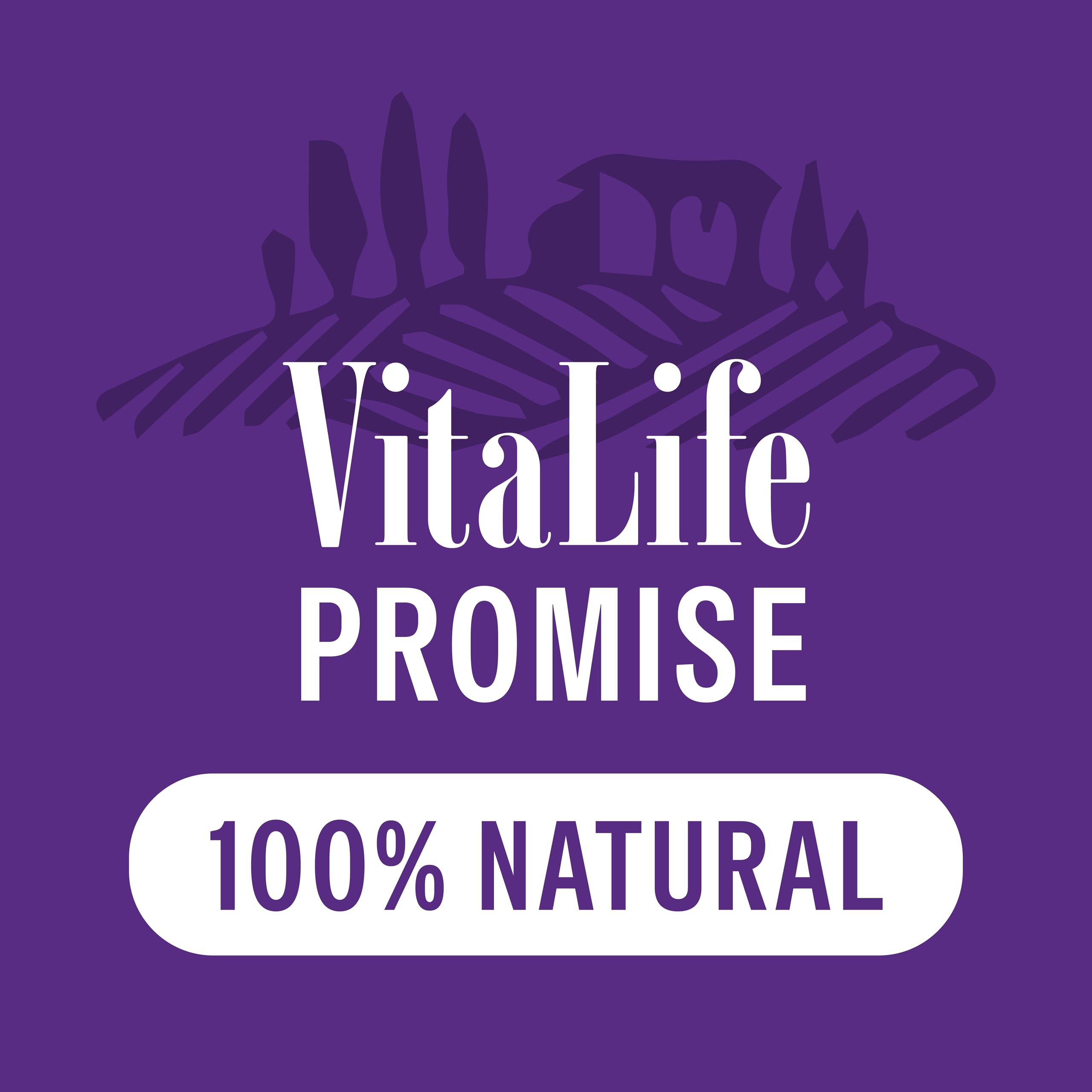 VitaLife 200 g Sweet Potato & Duck Twists, All Natural Dog Treats 200 g (Pack of 1) Treats - 5