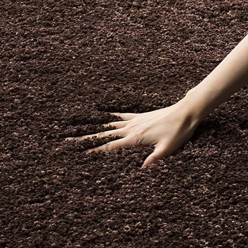 Image of TRANQUIL Polyester Fluffy Fur Rug Shaggy Modern Carpet for Living Room, Bedroom, Guest Room, Kids Room (6x9 Feet, Brown)
