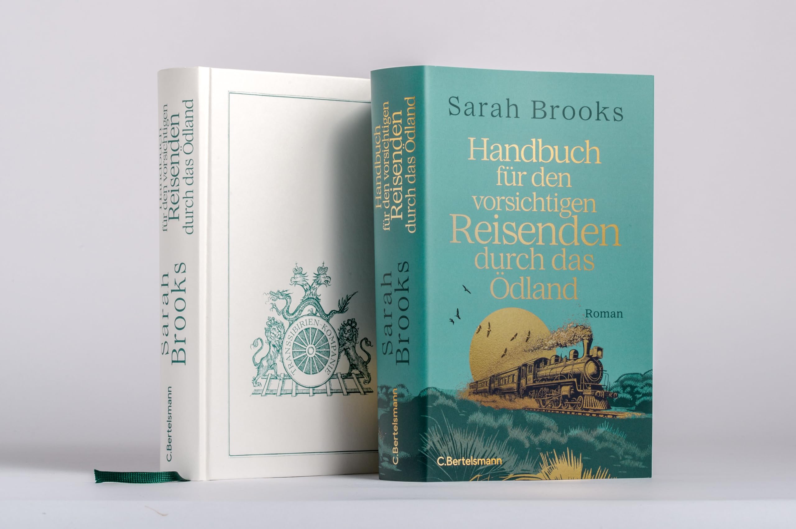 Handbuch für den vorsichtigen Reisenden durch das Ödland: Roman